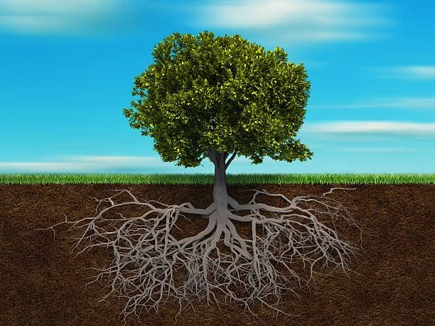 After three decades, how to make a career shift?
