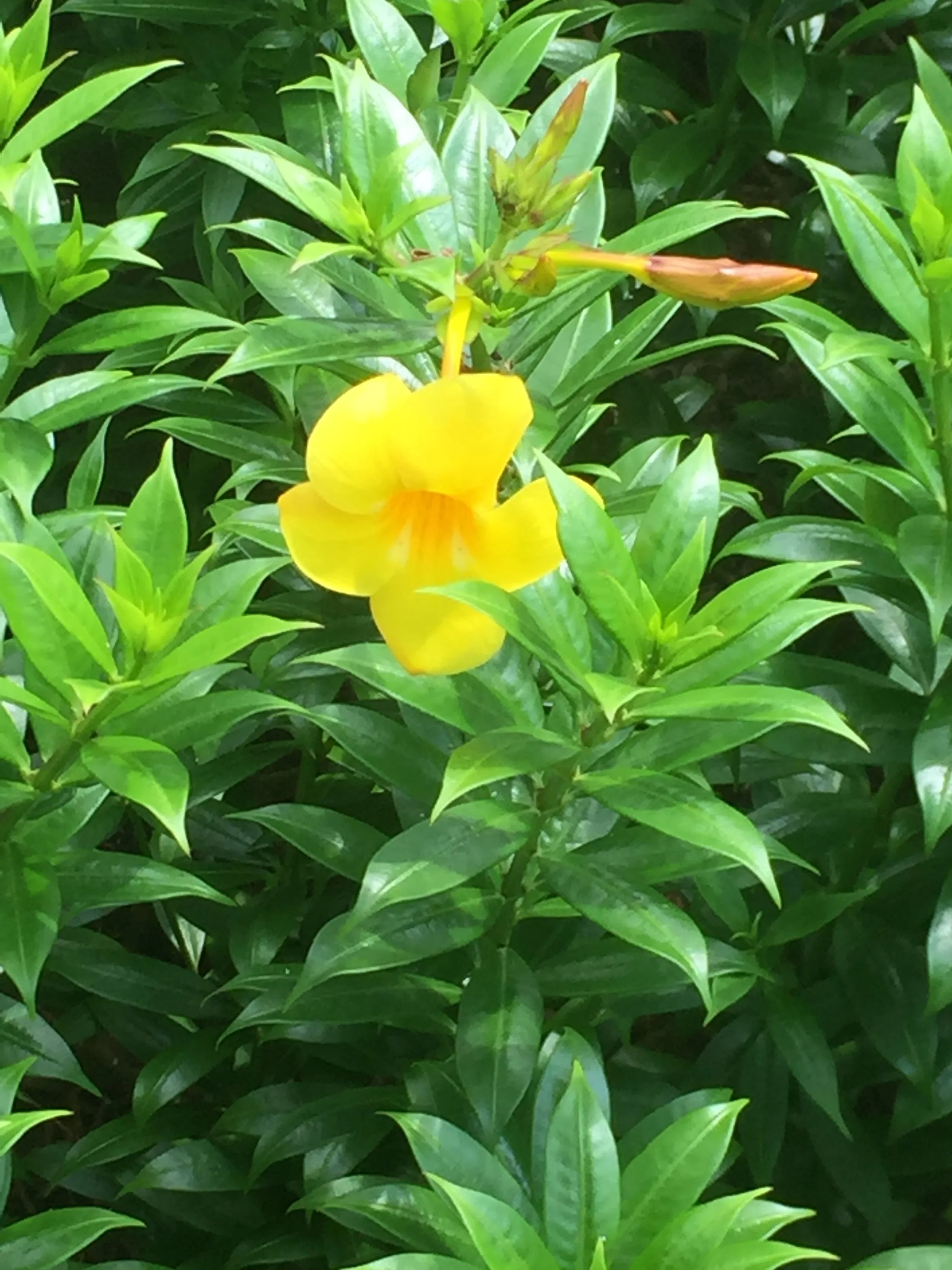 Vil du vide, hvordan du skille dig ud på LinkedIn?