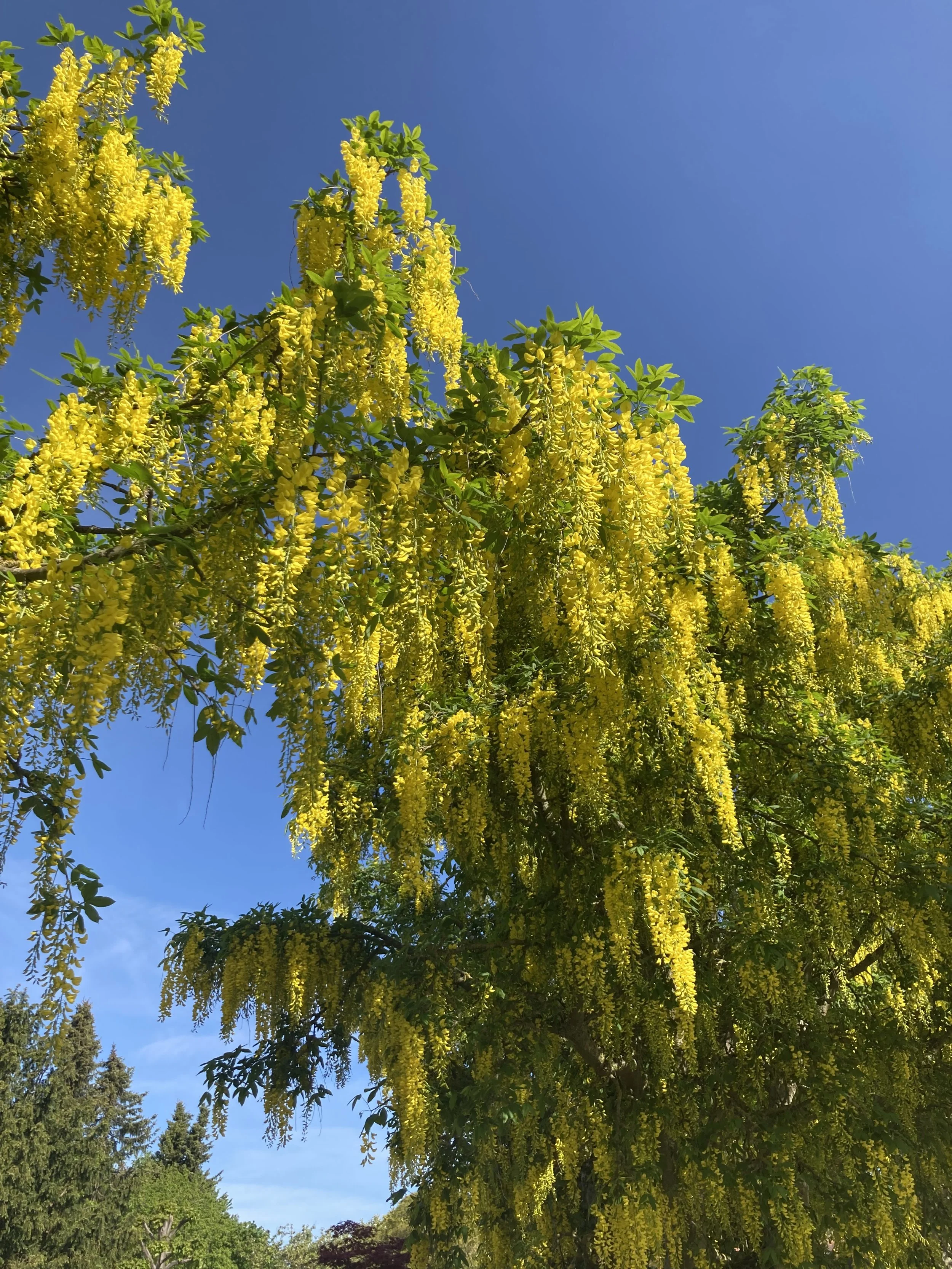 From Laid-Off to Liberated: Changing Perspectives and Embracing New Beginnings