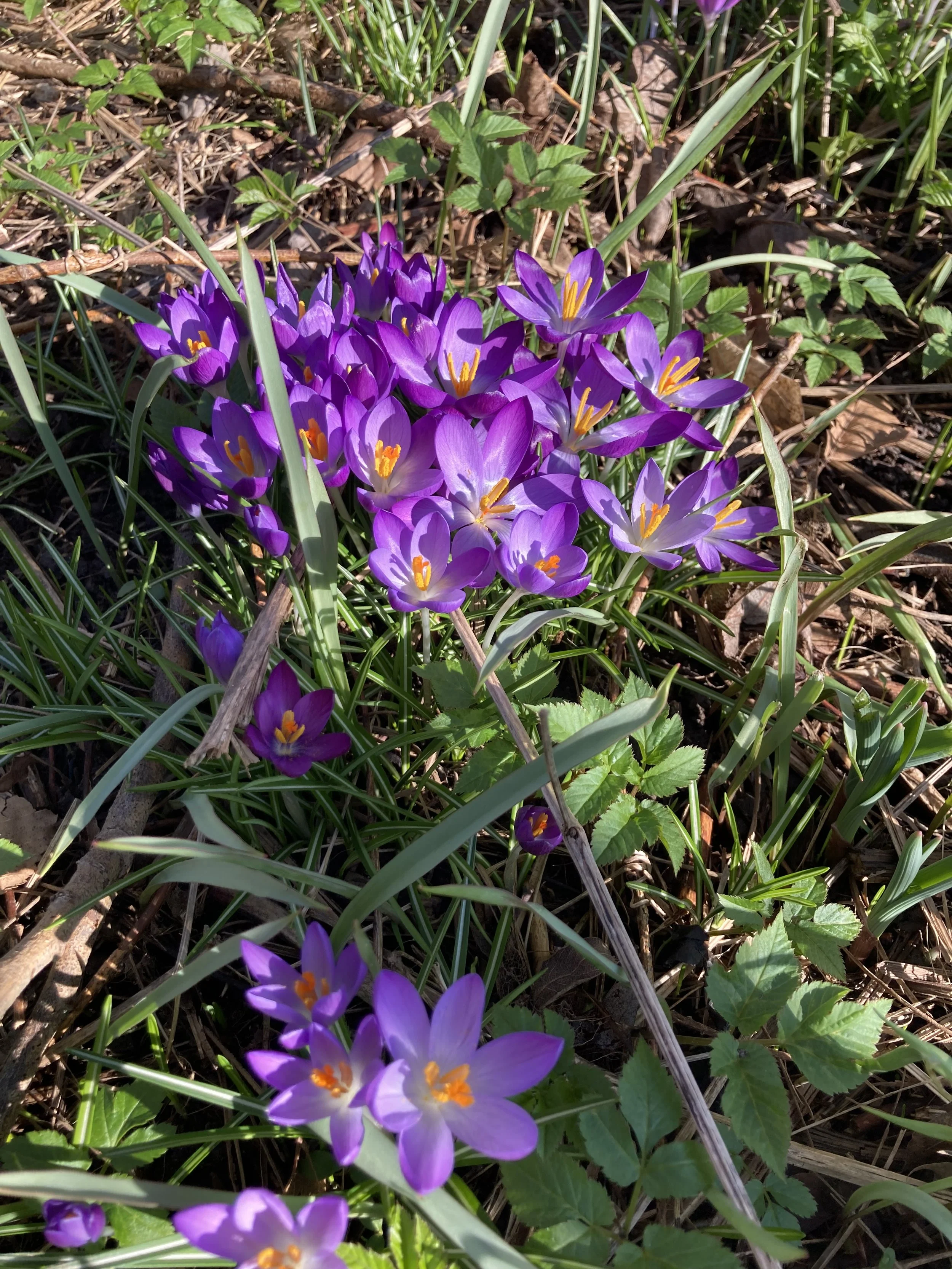 Revolutioner din karriere: Opnå mindre stress og en bedre arbejdsplads