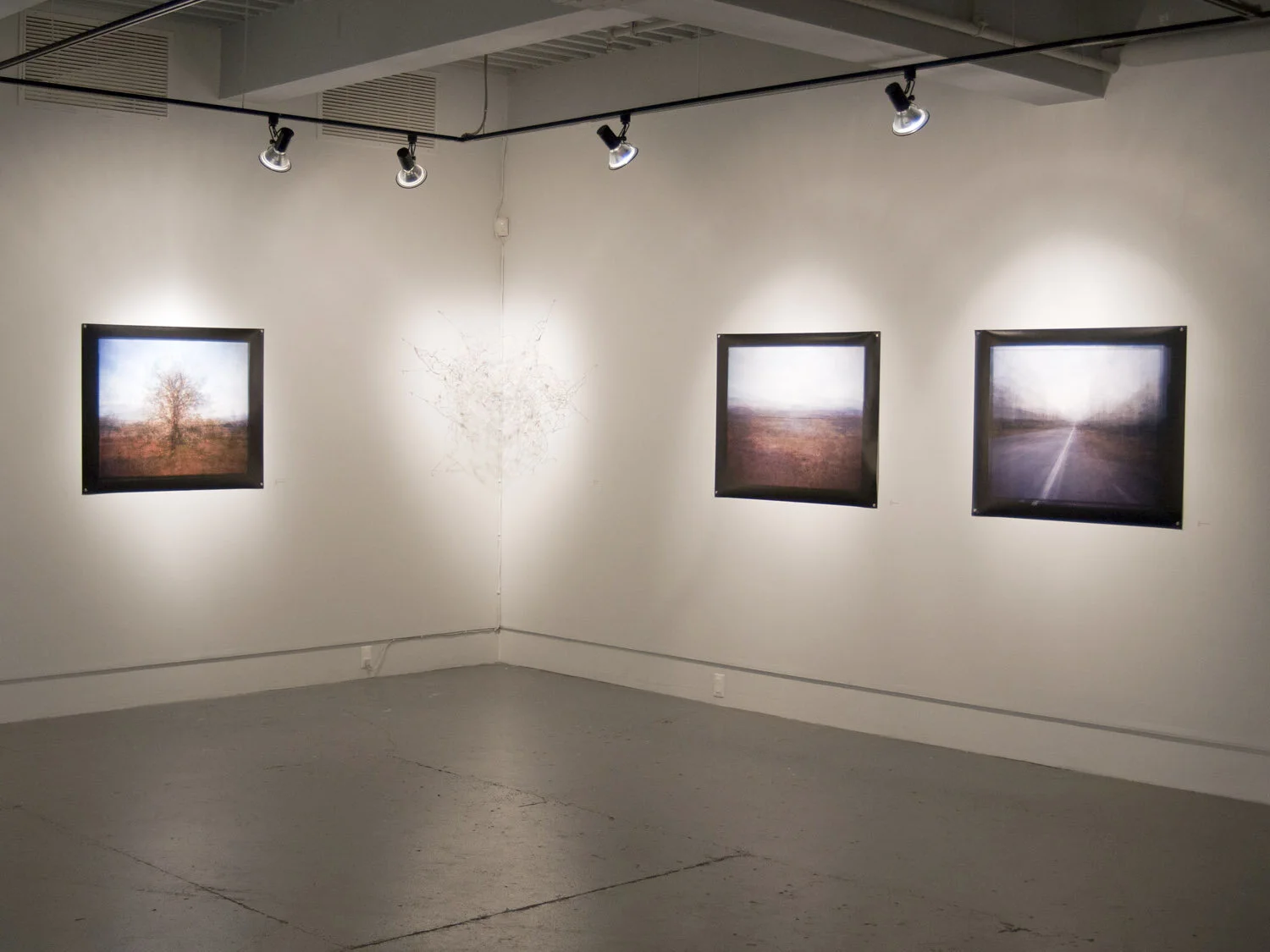Installation shot, Goetrope solo show, Alternator Centre for Contemporary Art, Kelowna, BC, Jan.-Mar. 2014