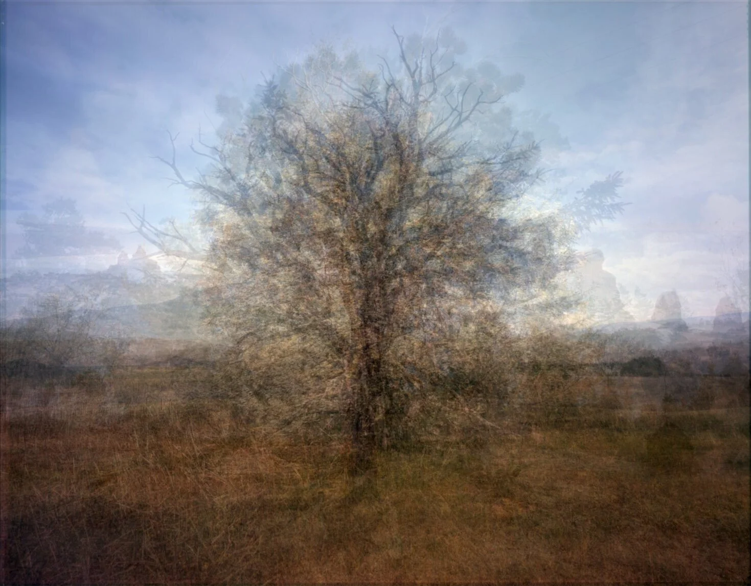 Trees_Composite.jpg
