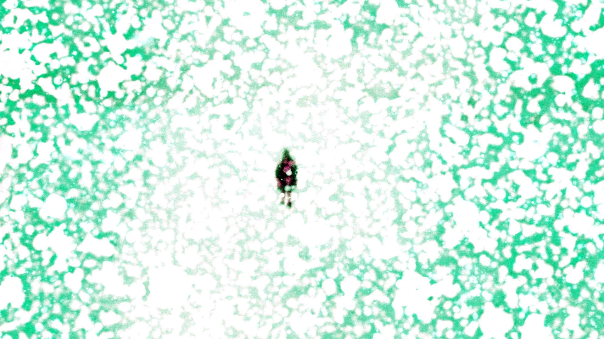  Still,  Late Winter (For The Left Hand) , 2021 