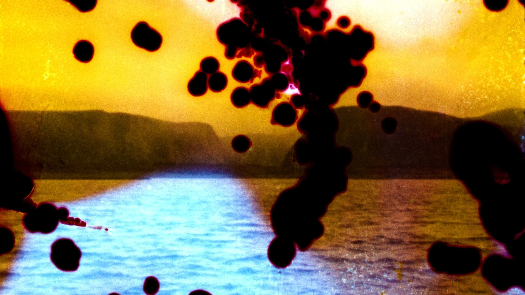 Newfoundland Sequence.00_12_04_02.Still010.jpg