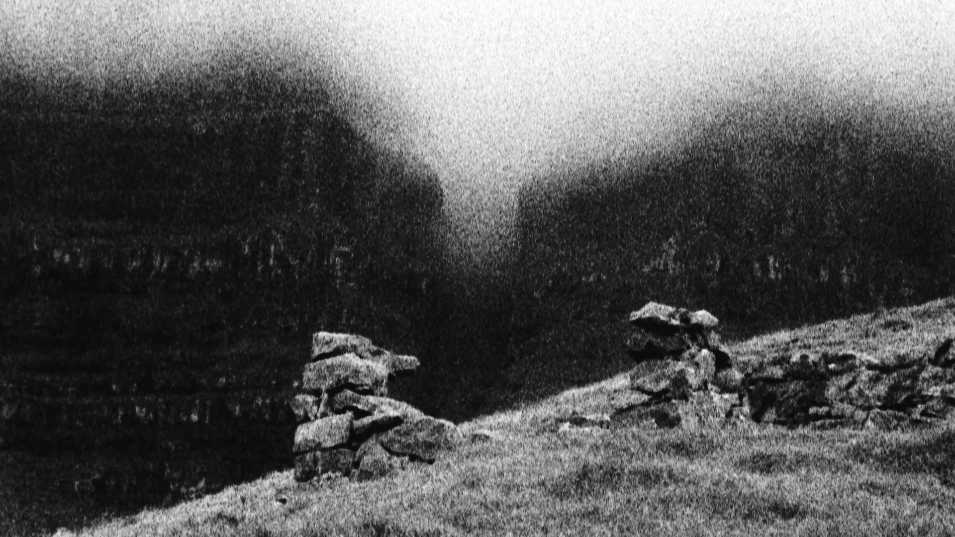  Still,  Wanderer , 2024 