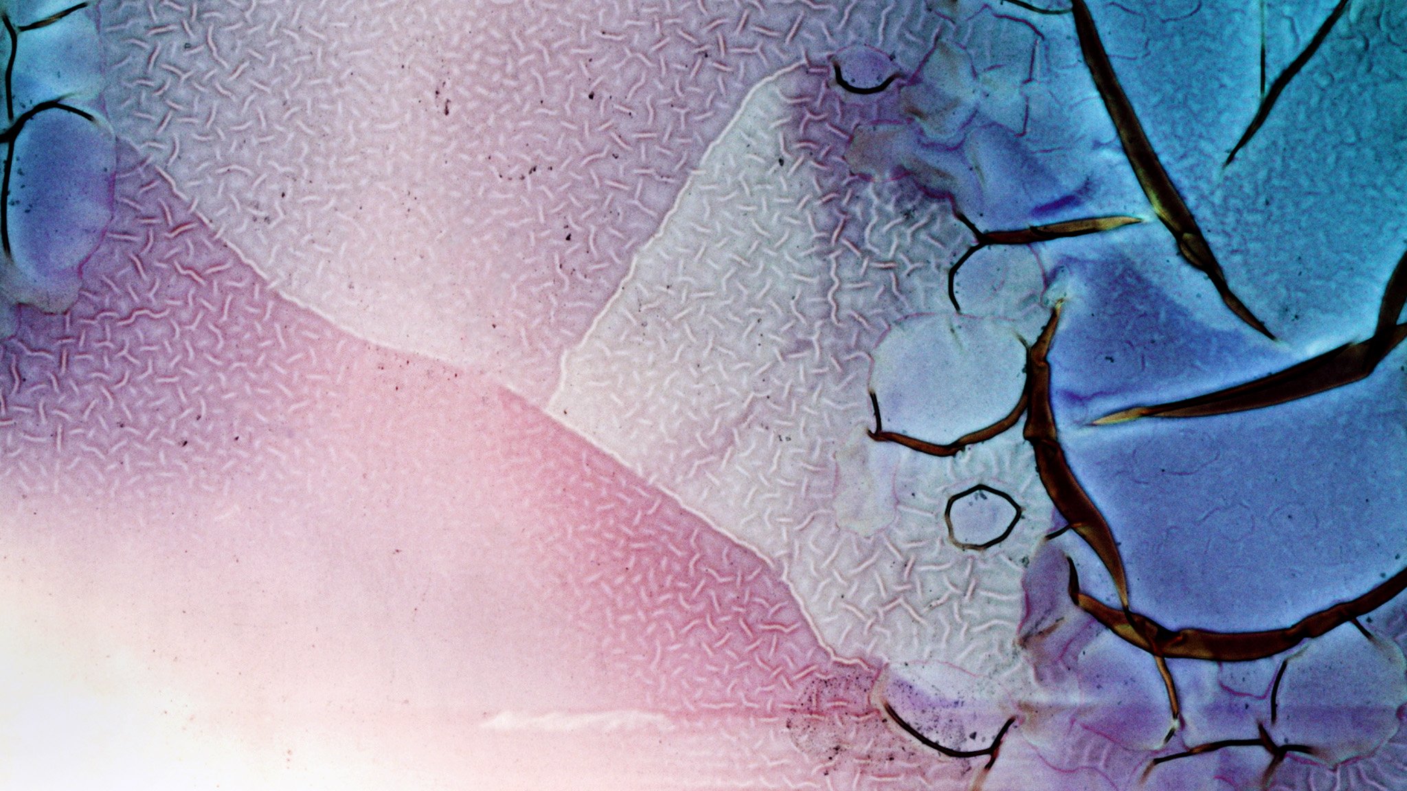  Still,  An Uncertain Eternity , 2024 