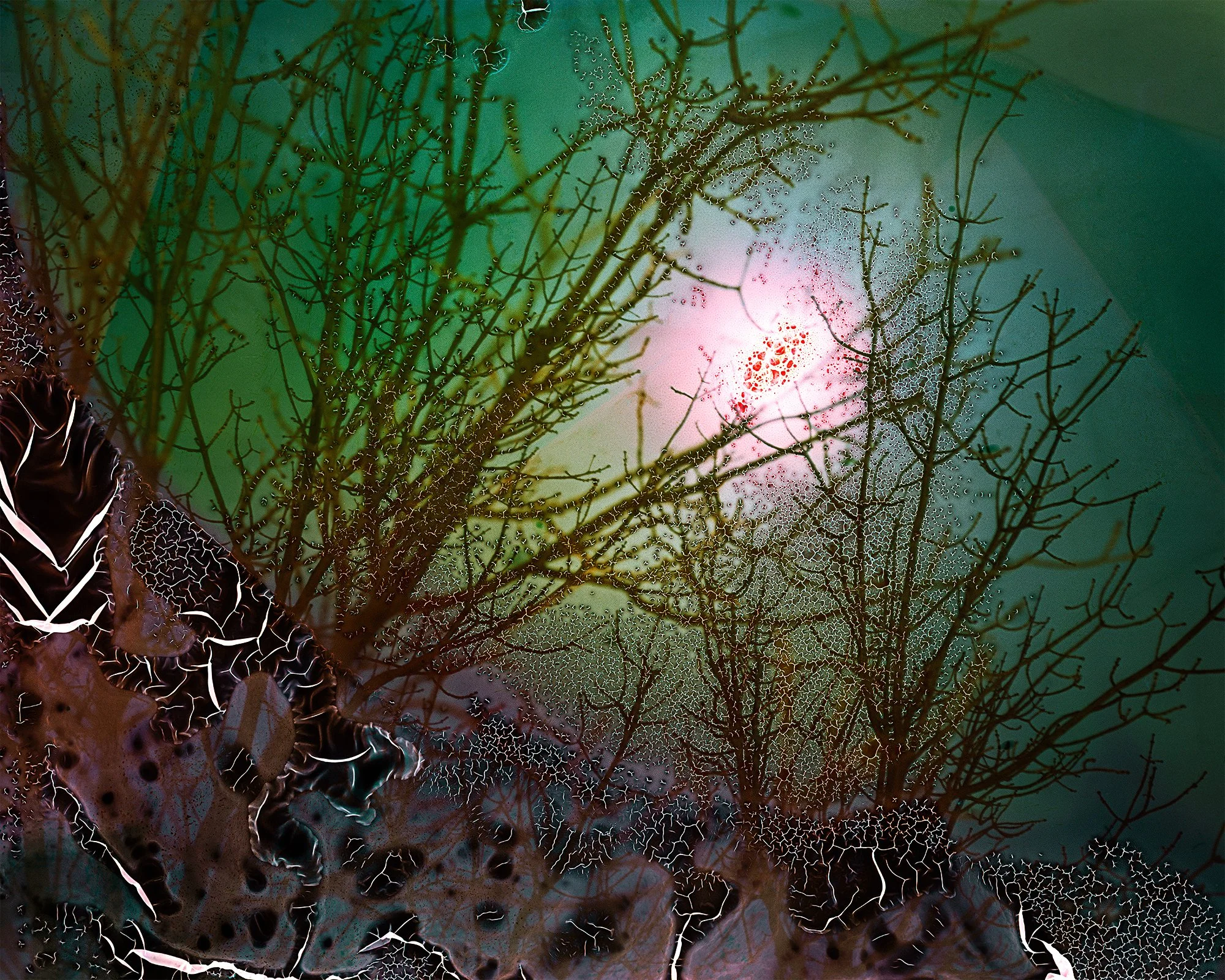 Snow Moon, Santa Fe , 2025. Lightjet print from soaked film and mordançage, 24” x 30” & 16”x20”, edition of 10 + 2AP total.