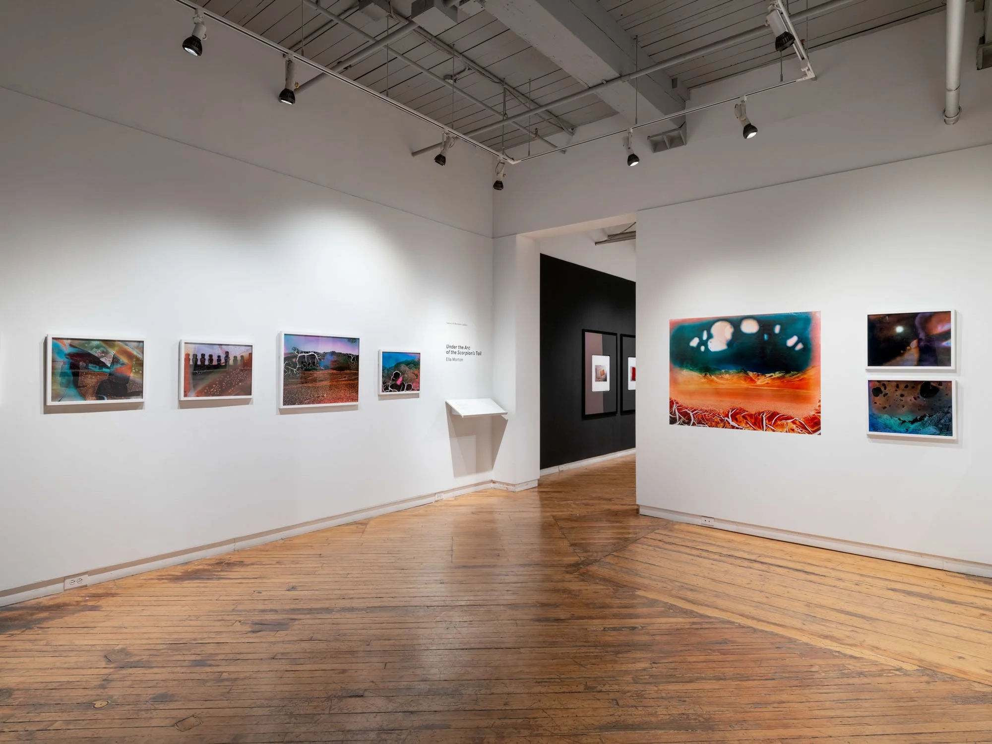 Under the Arc of the Scorpion’s Tail , Solo exhibition at Gallery 44 Member’s Gallery, Toronto, Canada, April 4 - May 24, 2025.