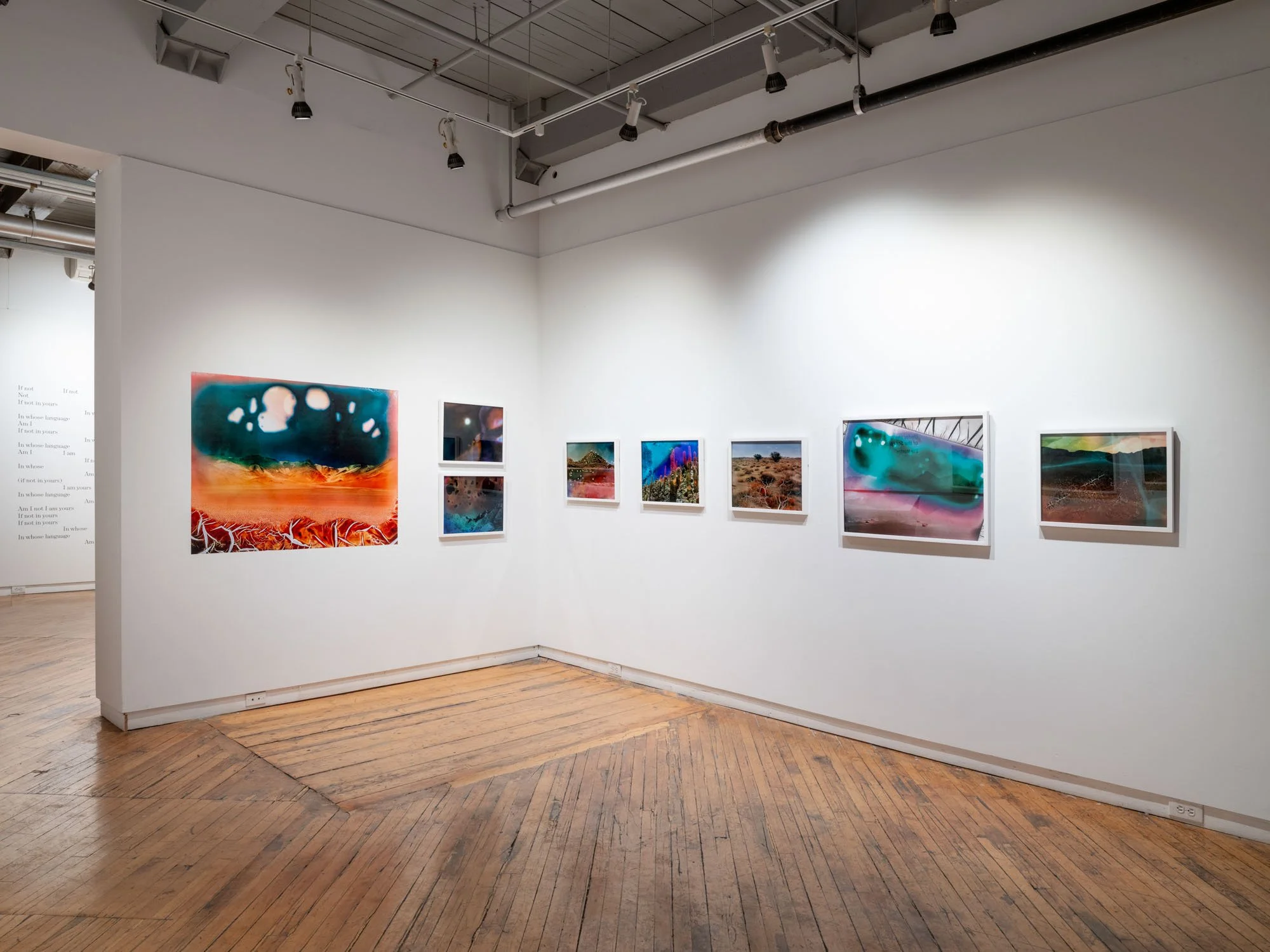 Under the Arc of the Scorpion’s Tail , Solo exhibition at Gallery 44 Member’s Gallery, Toronto, Canada, April 4 - May 24, 2025.