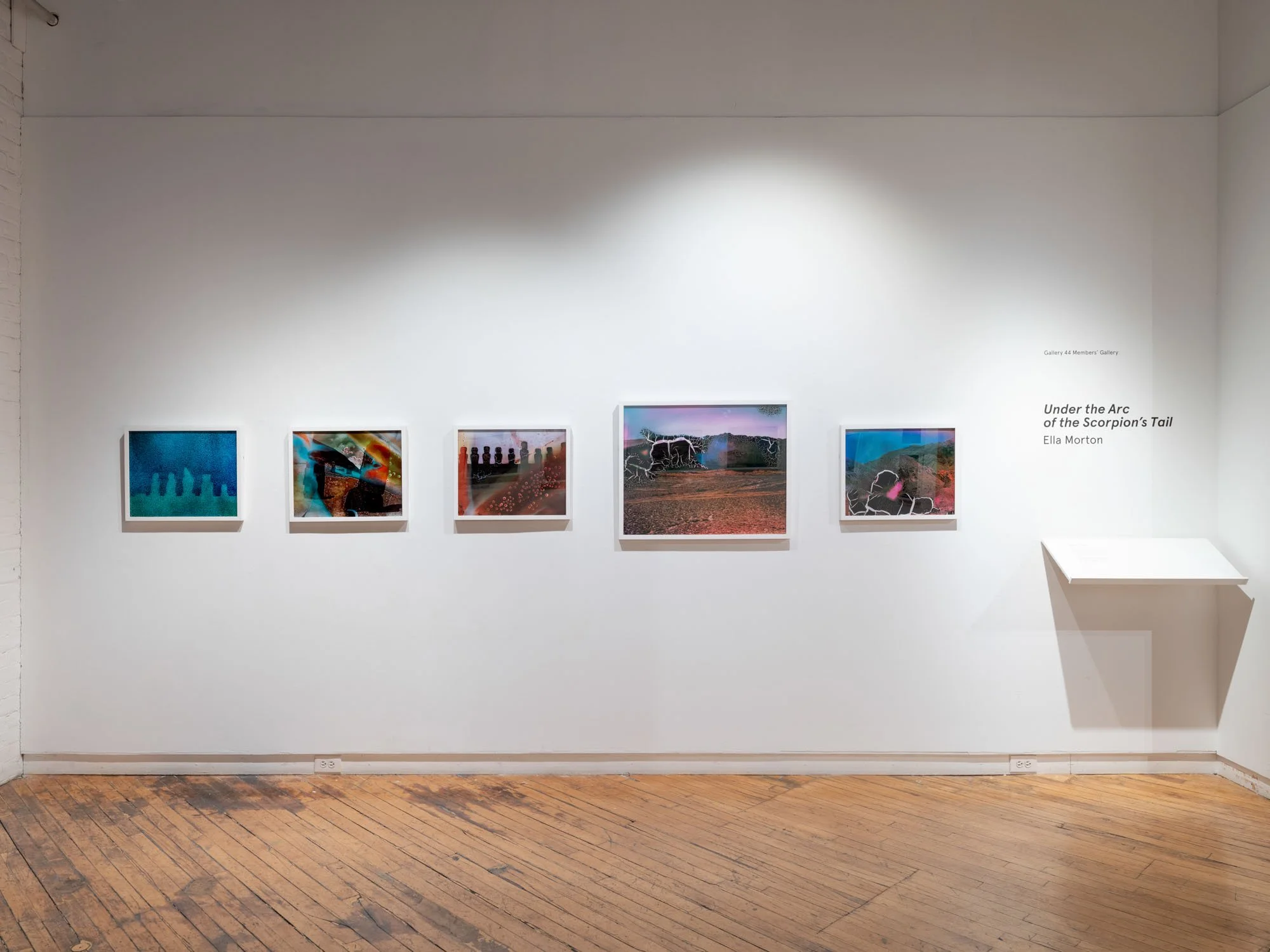 Under the Arc of the Scorpion’s Tail , Solo exhibition at Gallery 44 Member’s Gallery, Toronto, Canada, April 4 - May 24, 2025.
