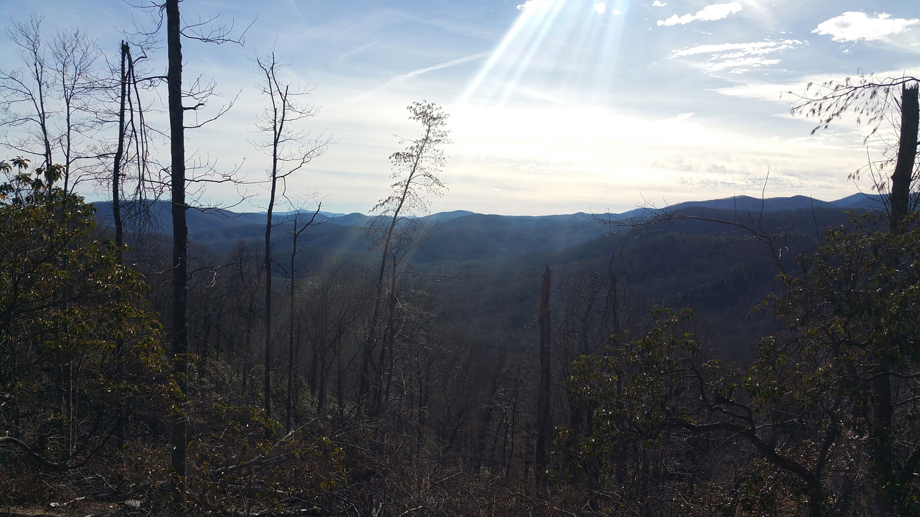 Surveying Services | Pisgah National Forest