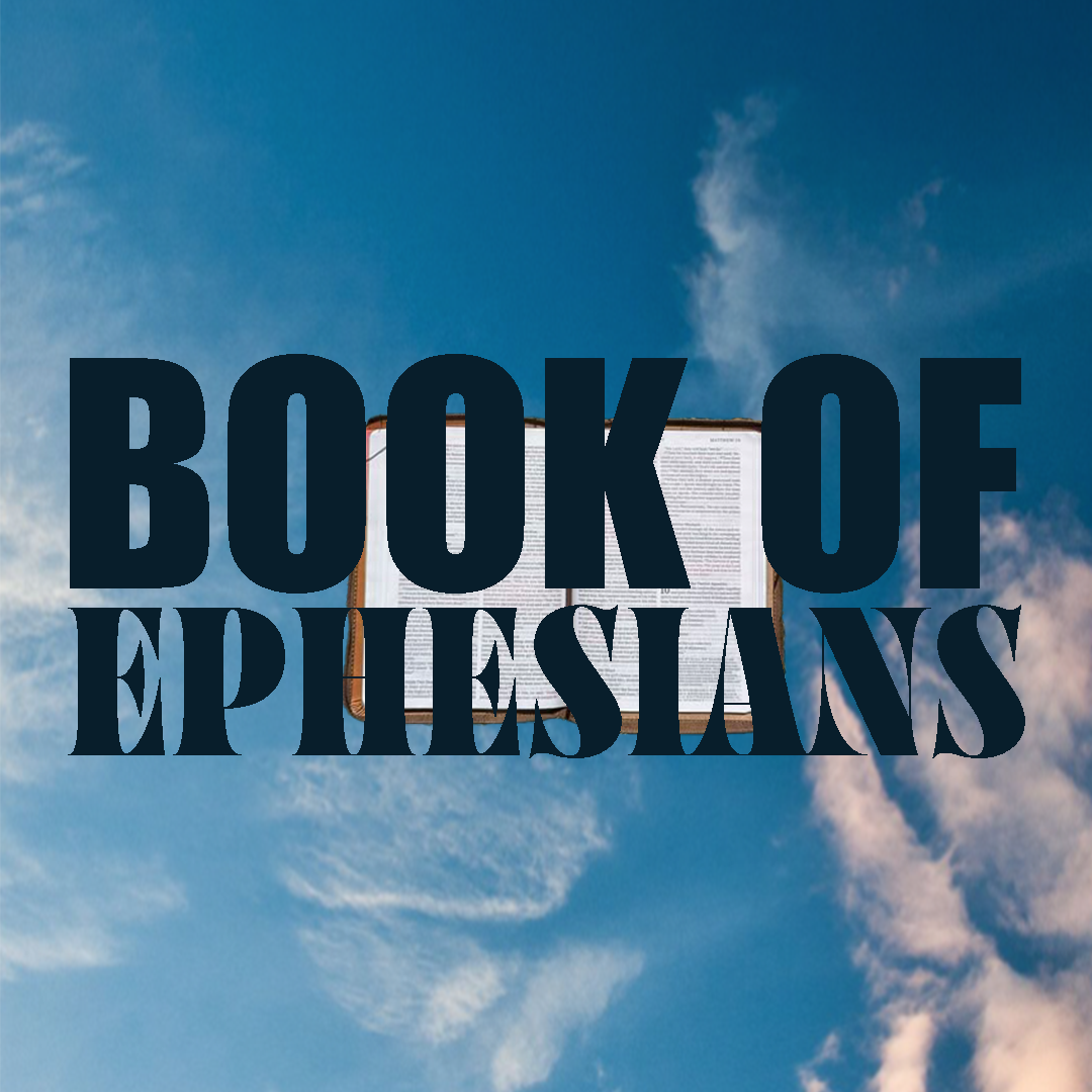 WEB bible1.png