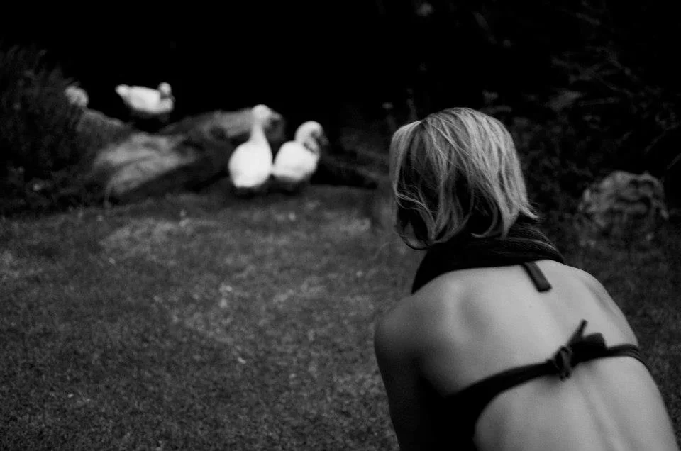 thumb_IMG_1987_1024 2.jpg