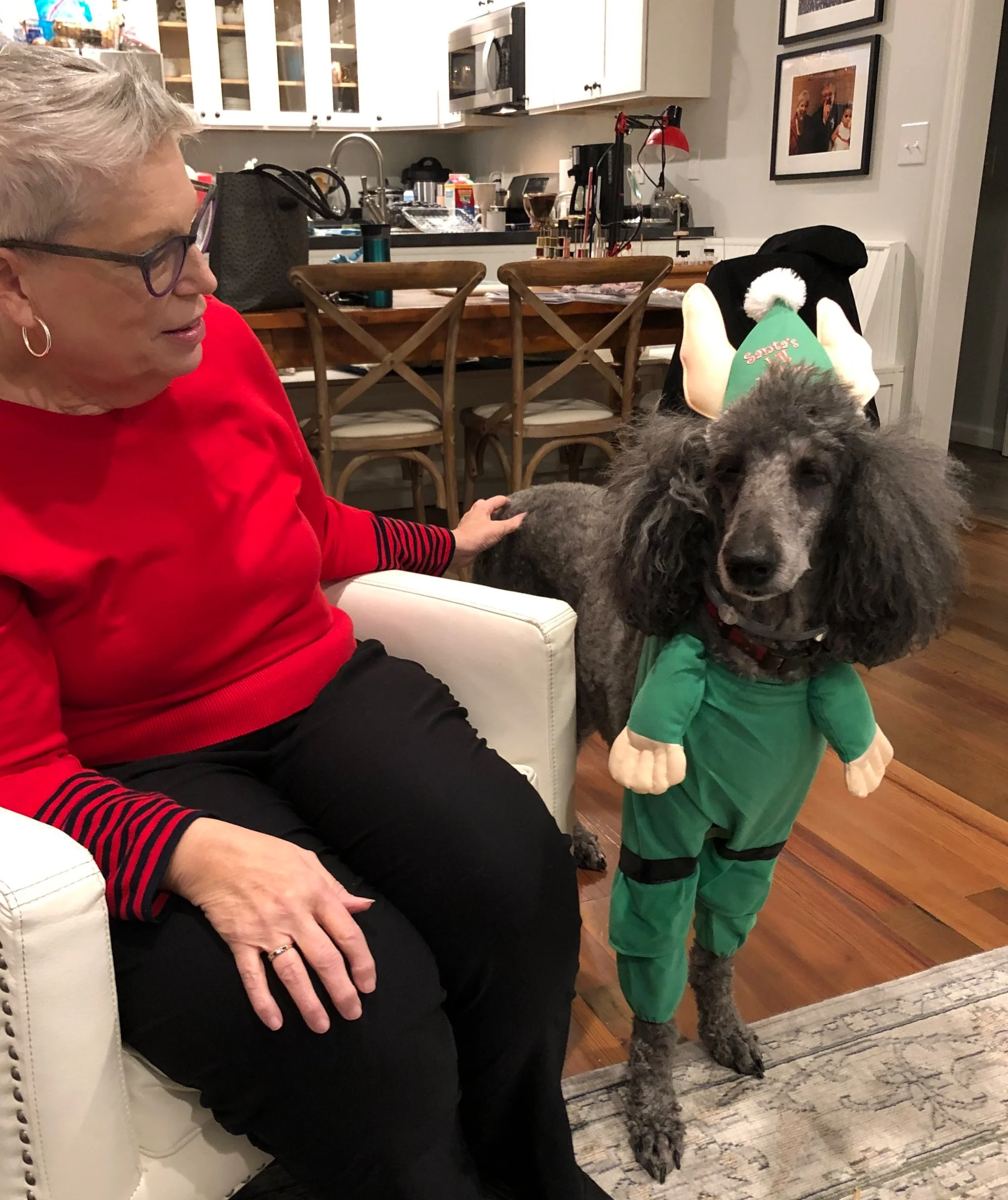 People should never do this to a dog. (Confession: I bought the elf outfit)