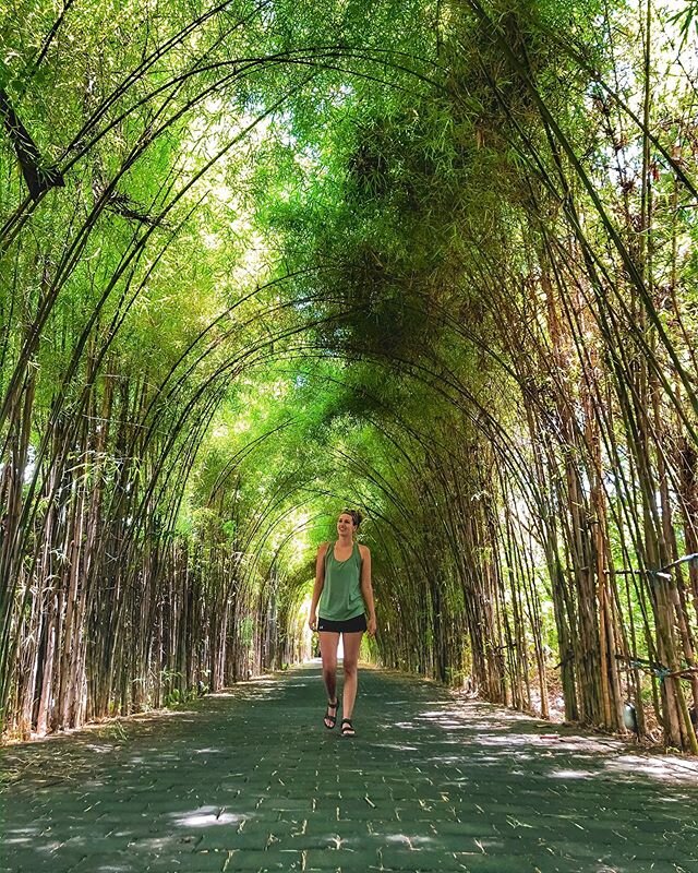 The grass isn&rsquo;t always greener on the other side. It&rsquo;s greener where you water it! 🌱
&bull;
Step outside of your yard, and take a look at what&rsquo;s around you. Maybe there&rsquo;s something you never planned for yourself. Whatever mak