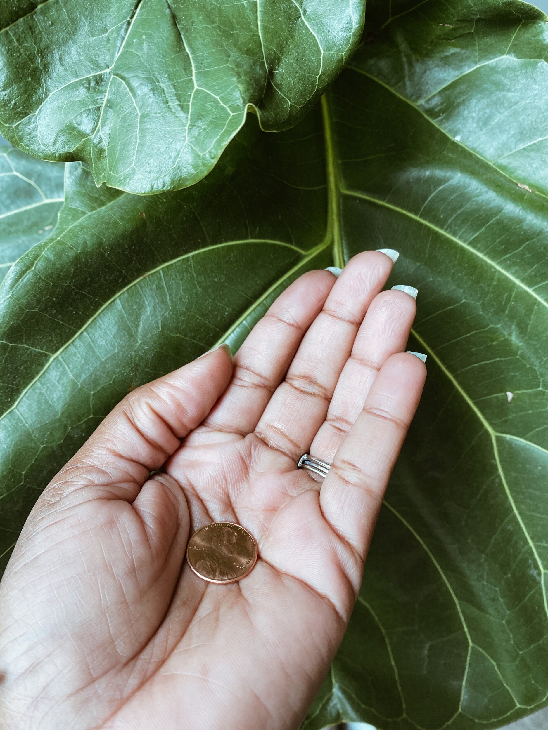 Who Are The Ones, You Are Surrounding Yourself With?