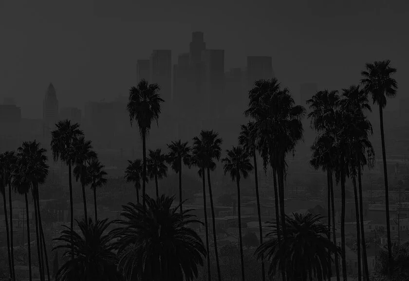 Office Banner_Palm Trees.jpg