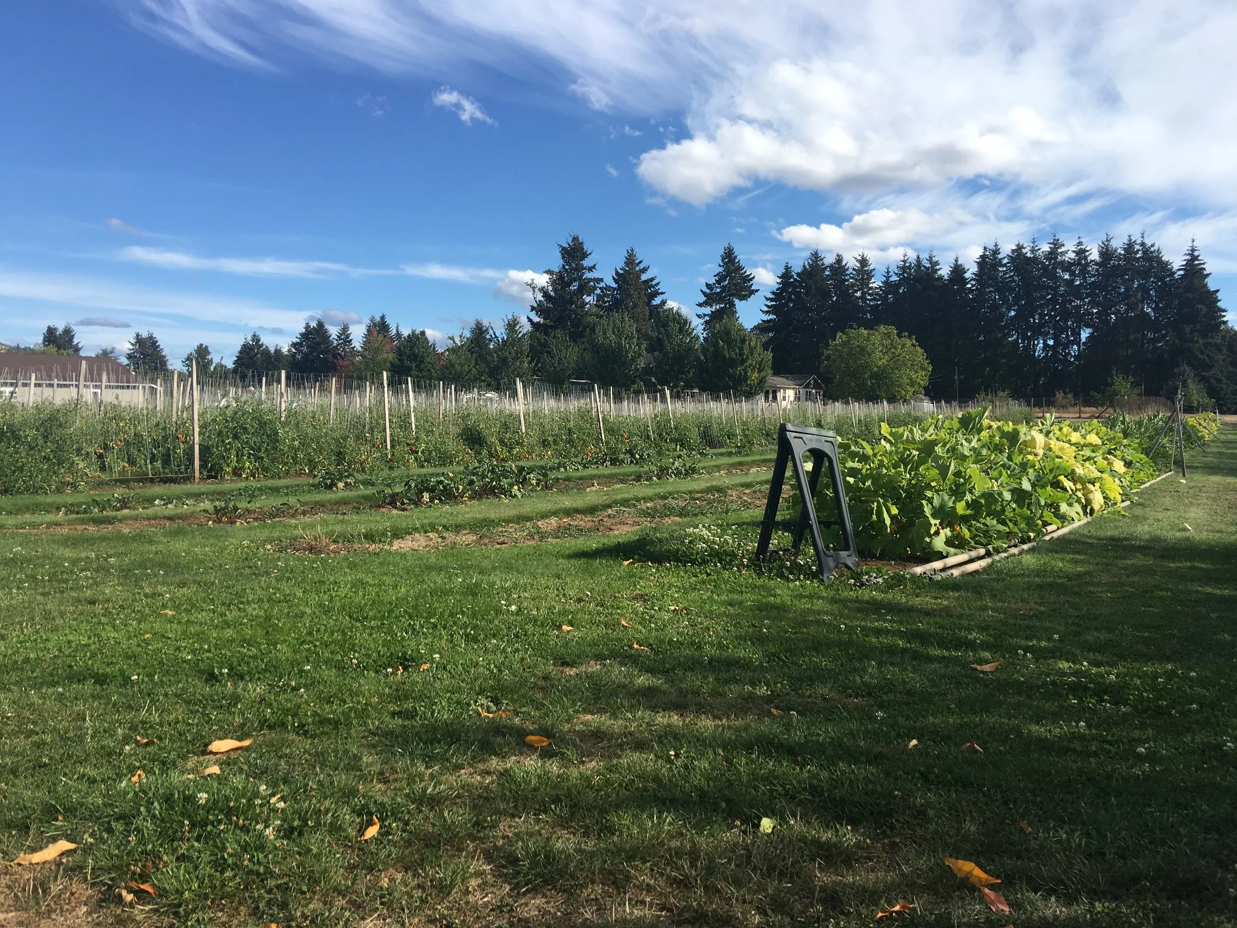 Oregon Startups Solving F&amp;B Logistics Problems 