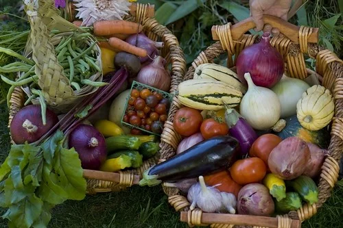 ODA Reimbursing Organic Certification Costs