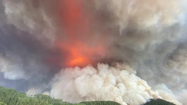 Eugene's Table Membership Supports Wildfire Relief