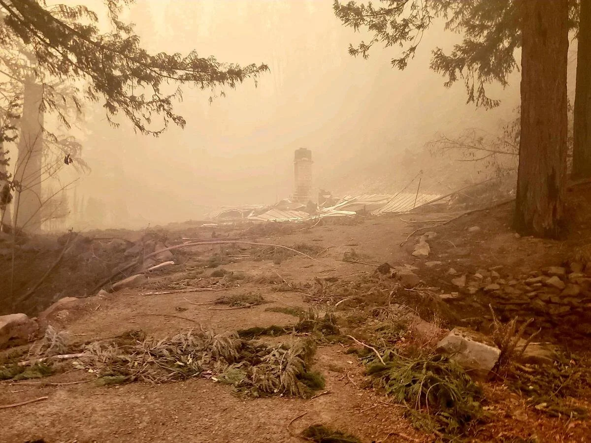 Mckenzie Mist Suffers Catastrophic Losses in Holiday Fire