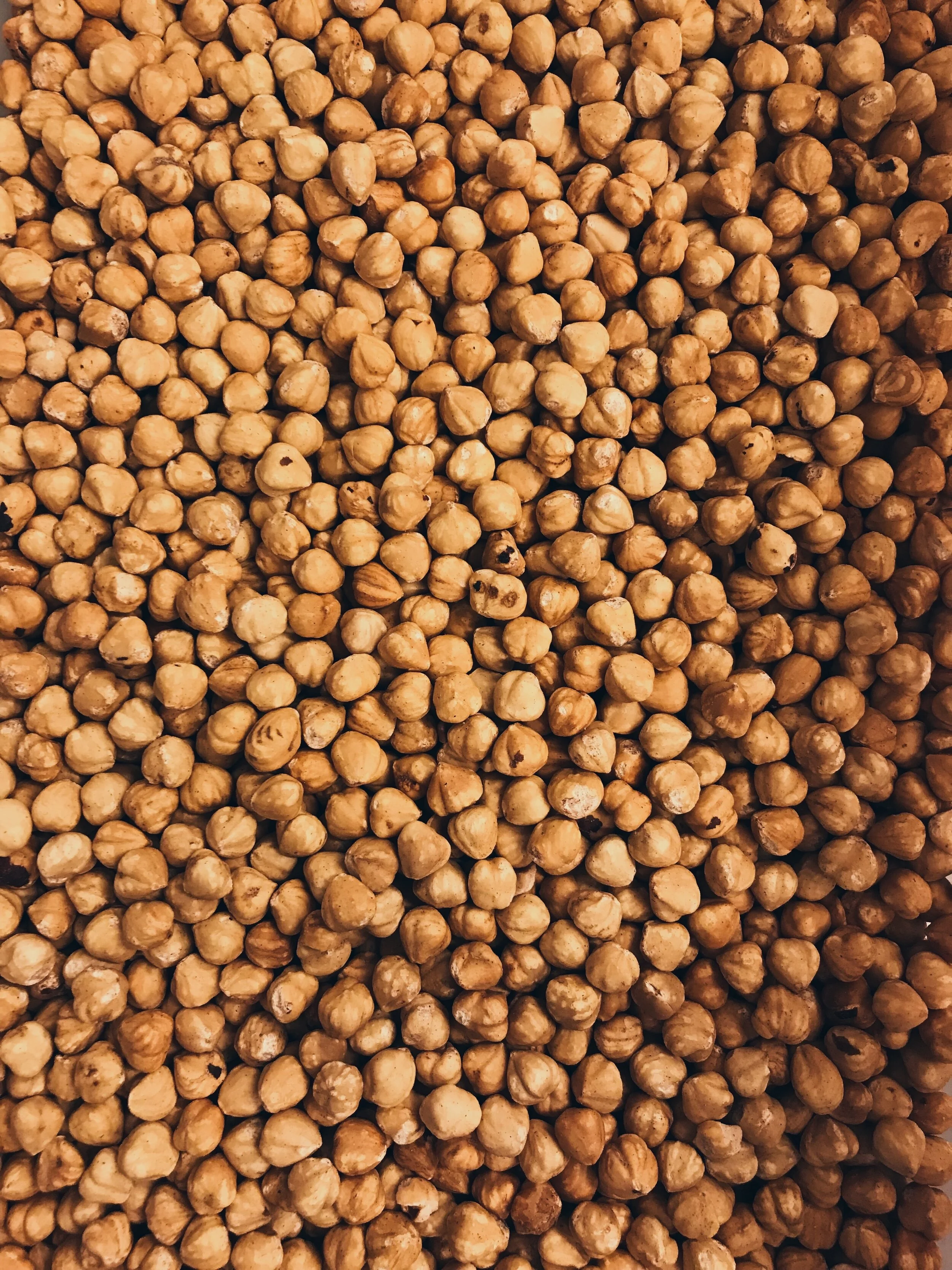 In Pursuit of Organic Hazelnuts