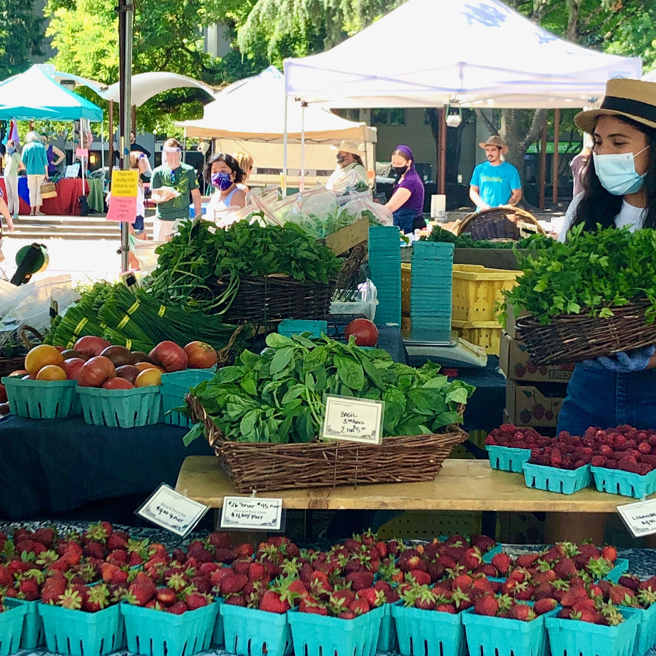 Lane County Farmers Market moves to 5th Ave starting April 3rd 