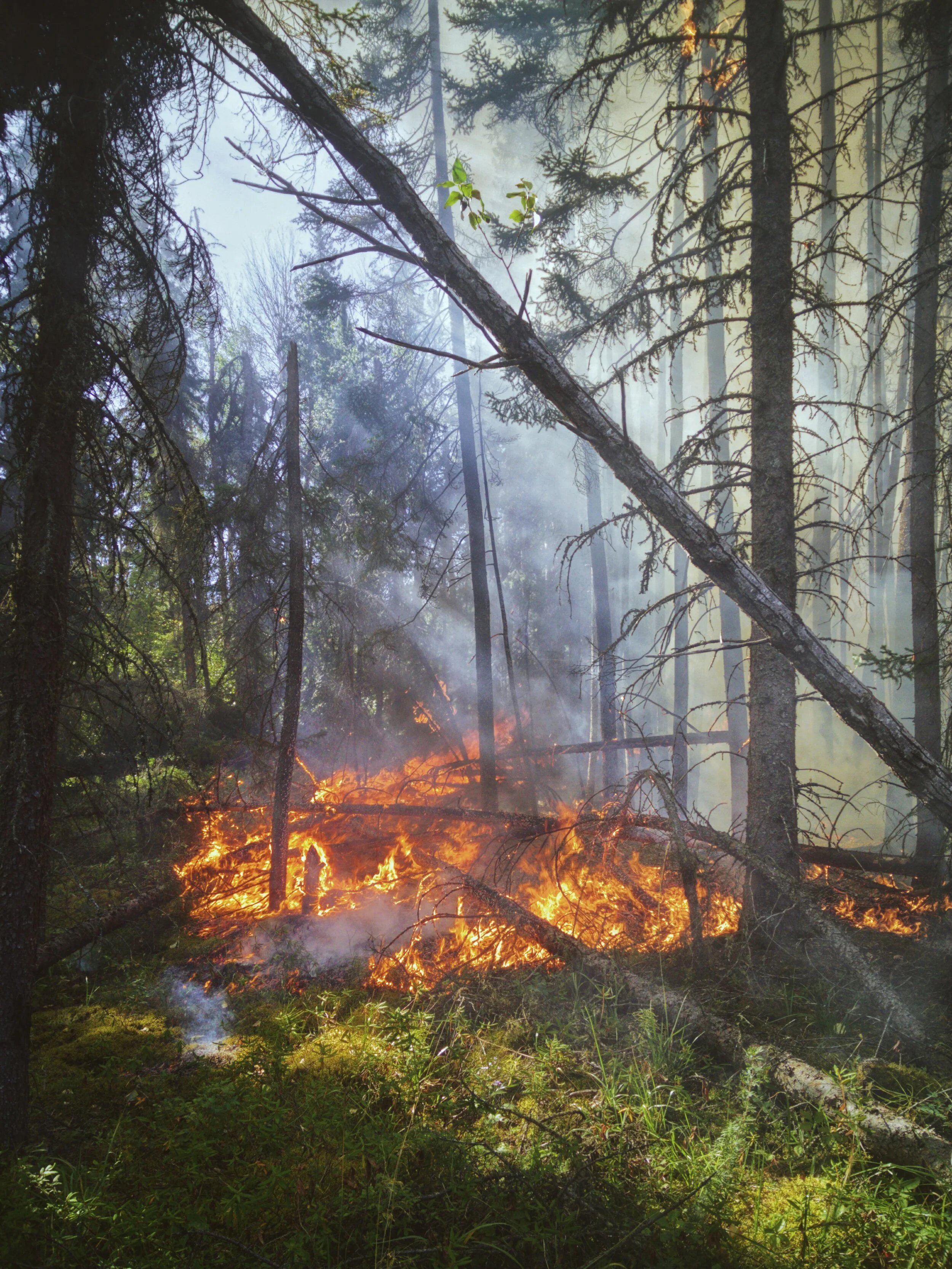 Lane County Climate Action Plan Hosts Public Engagement Process