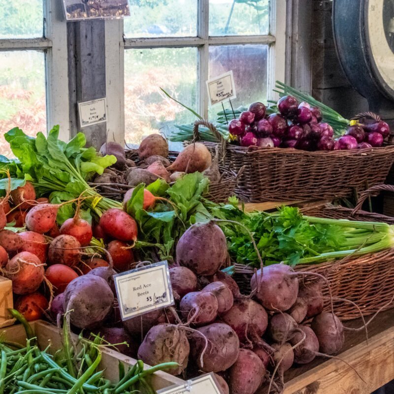 15 Fabulous Stops on the South Willamette Valley Food Trail