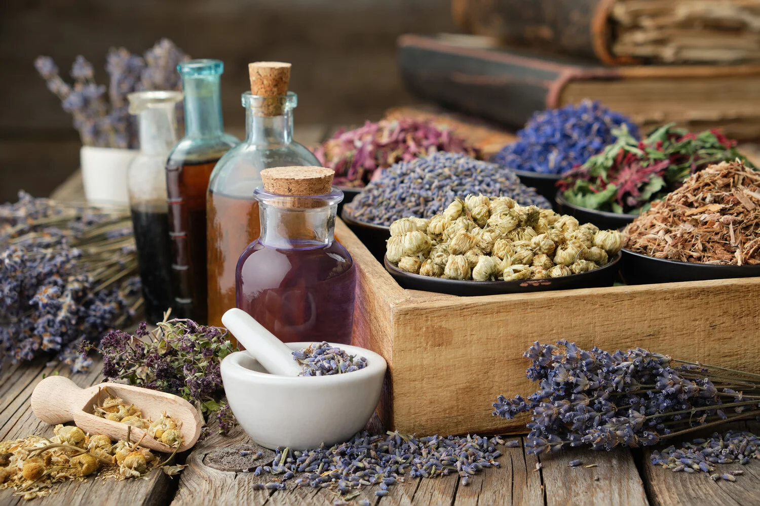 Earth Lab Botanicals is Creswell, Oregon's Quiet Economic Powerhouse