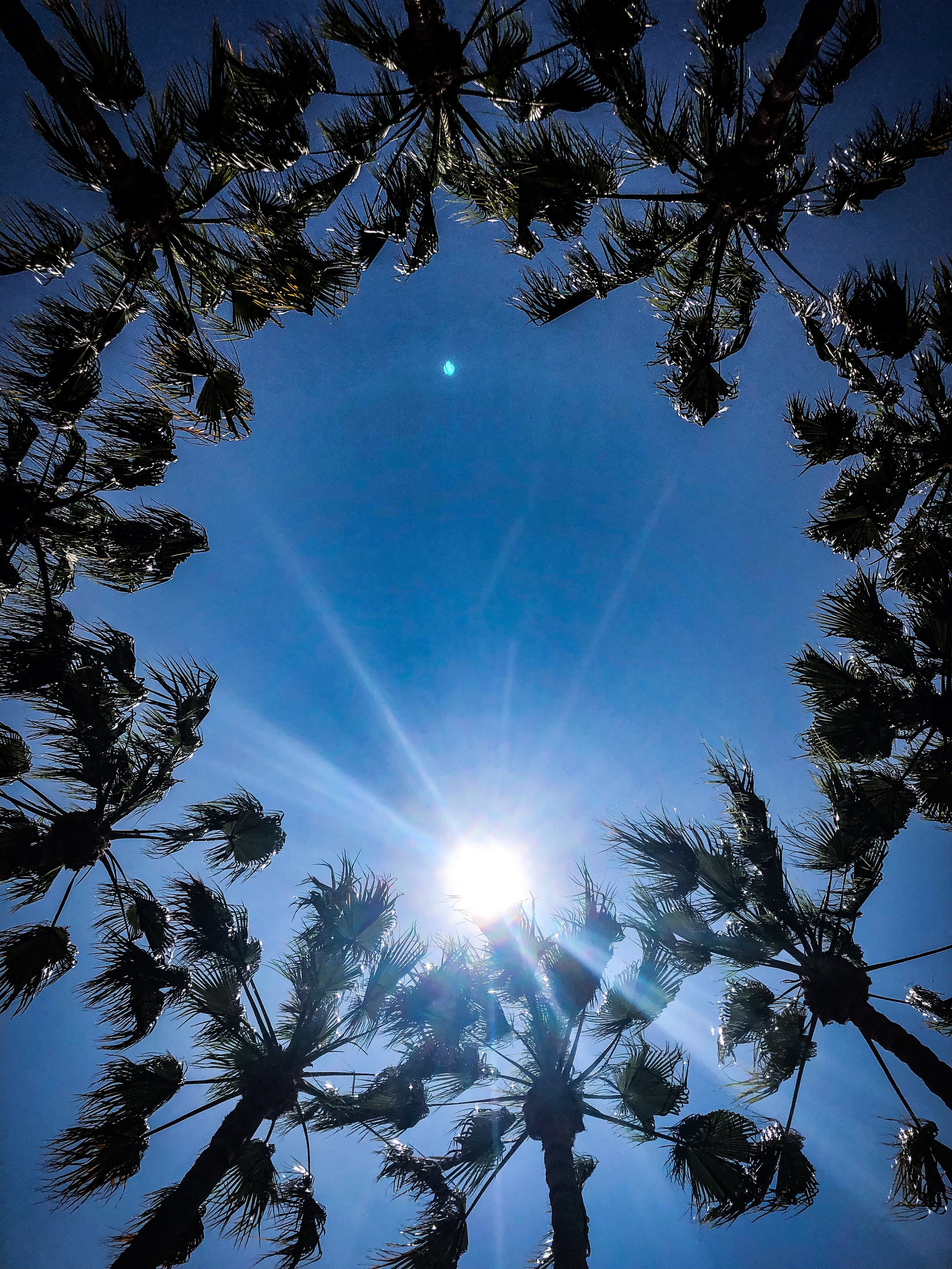 Local Birth Stories: Meagan A. - Naval Hospital Camp Pendleton