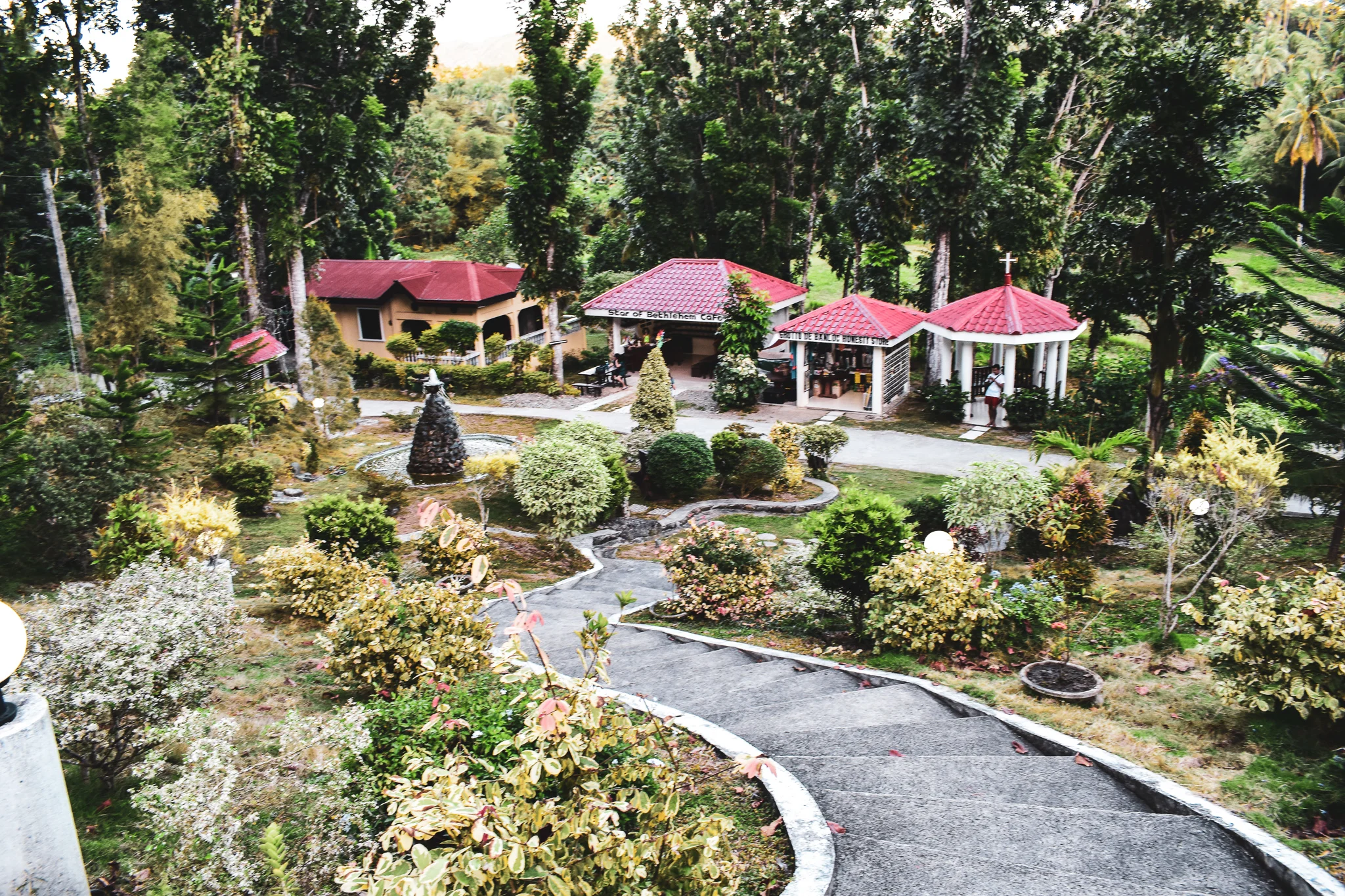 DSC_1000.jpg