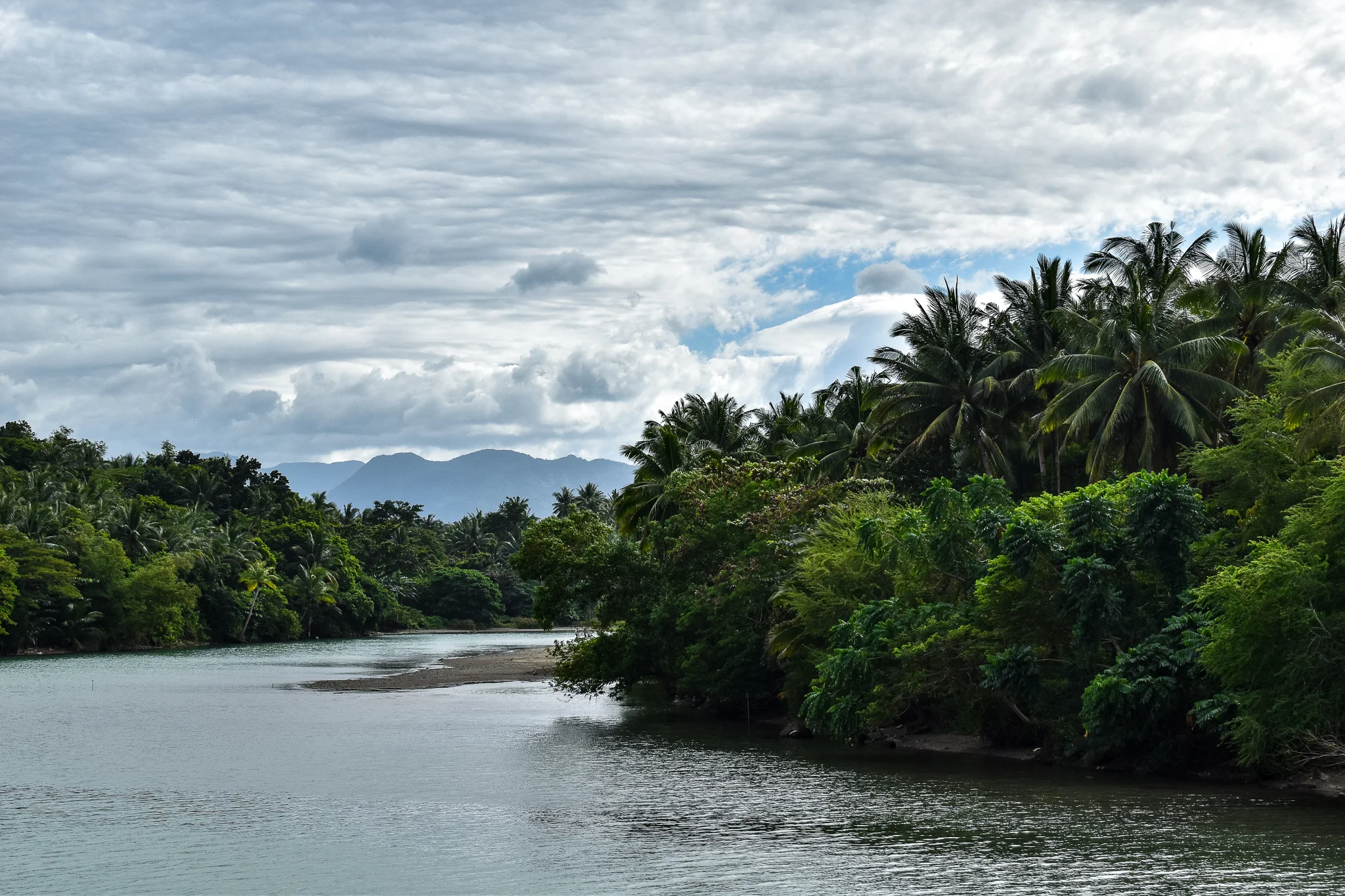 DSC_0211.jpg