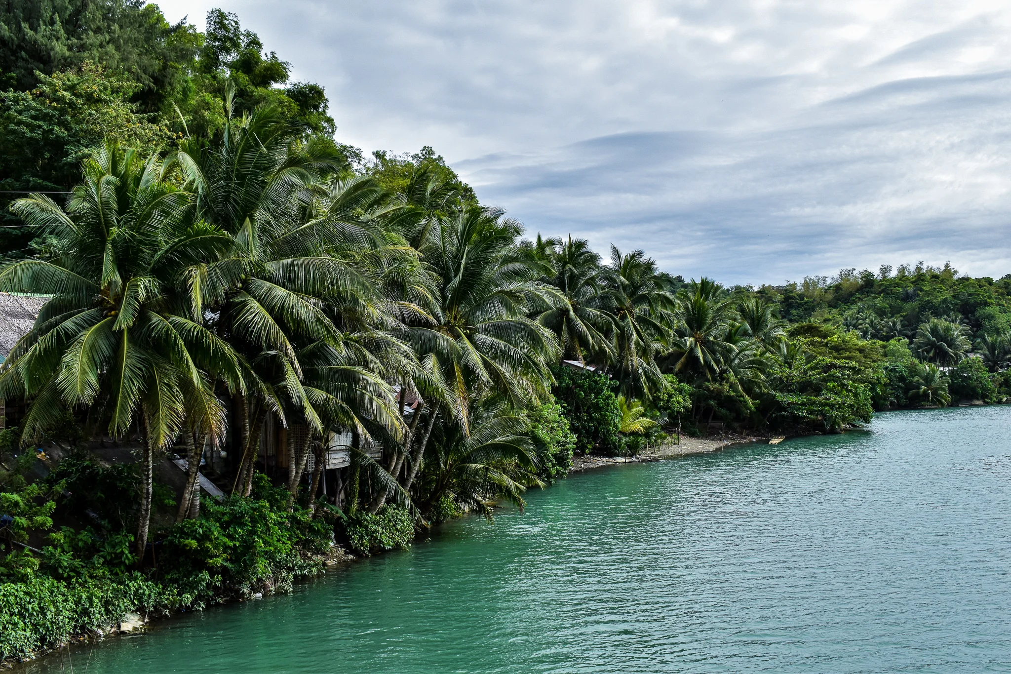 DSC_0215.jpg