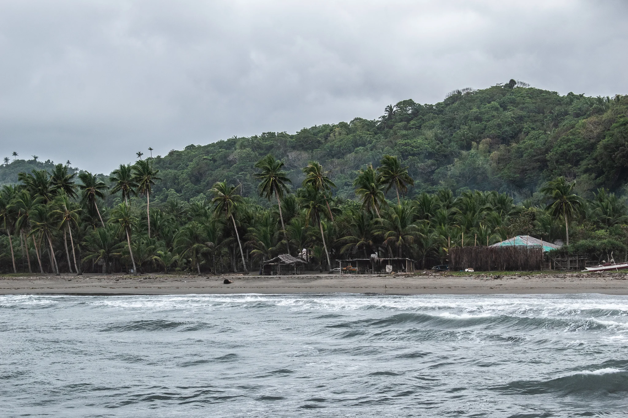 DSC_0258-2.jpg