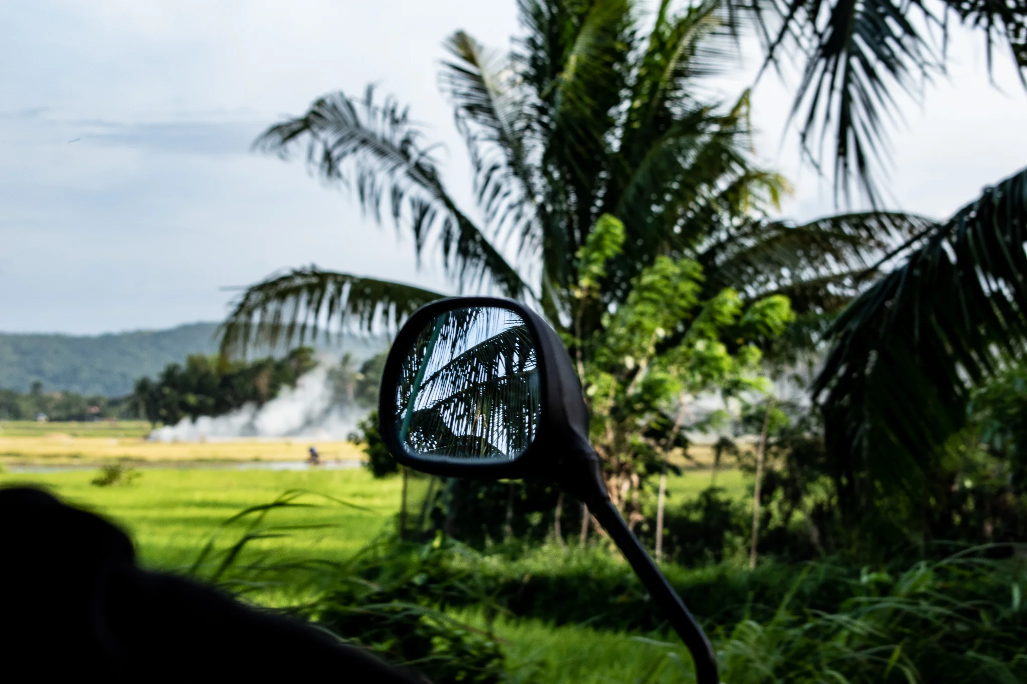 DSC_0363.jpg