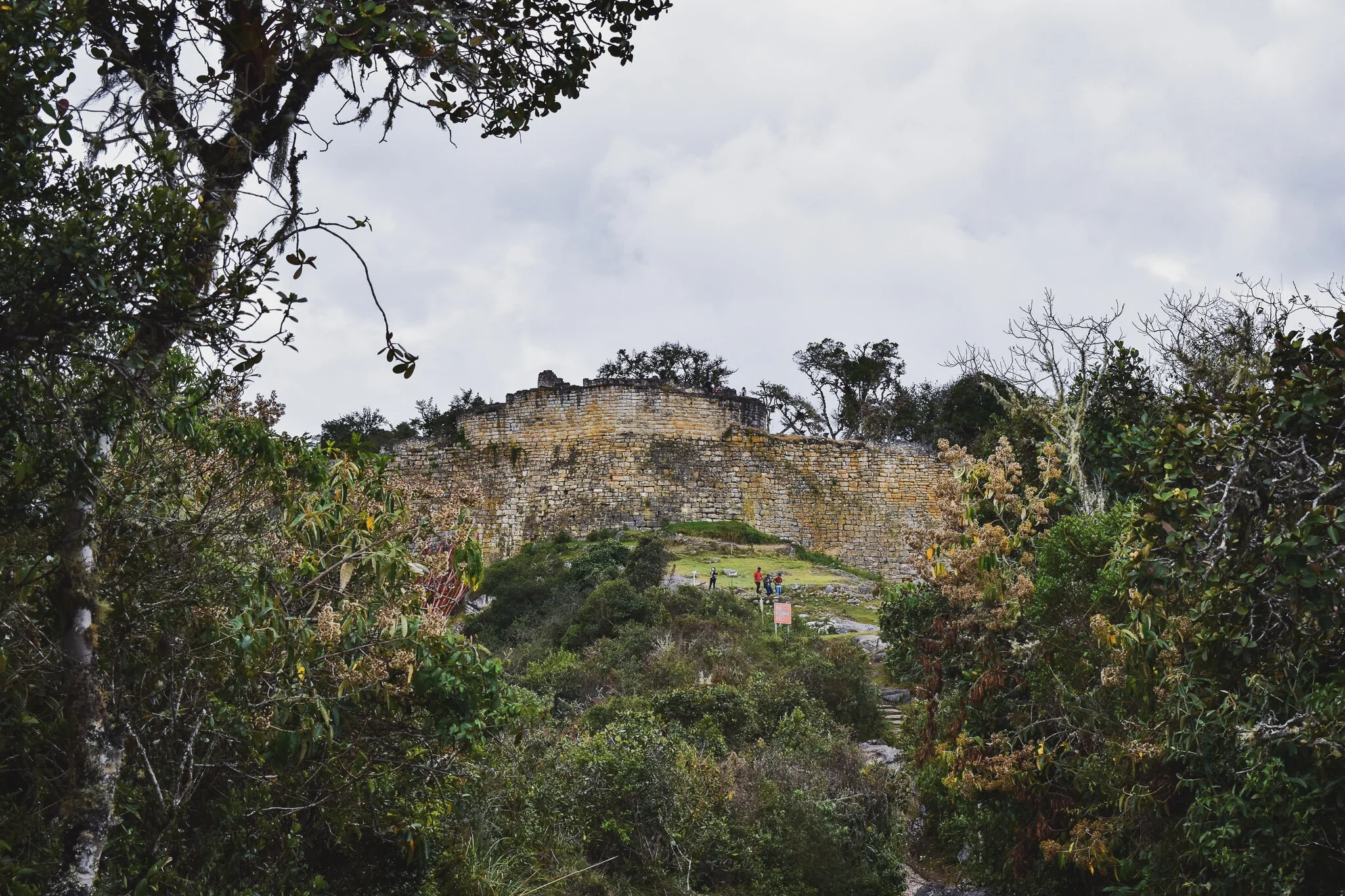 DSC_1082.jpg