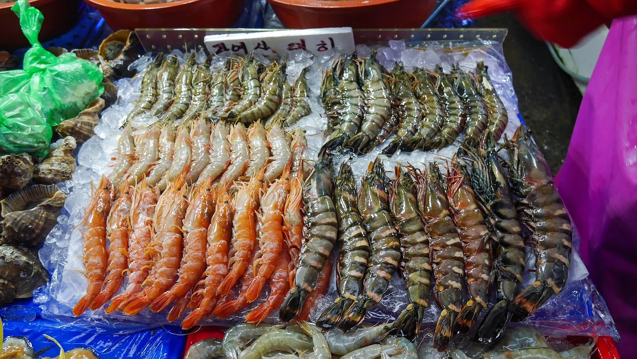 shrim-2992886_1280.jpg