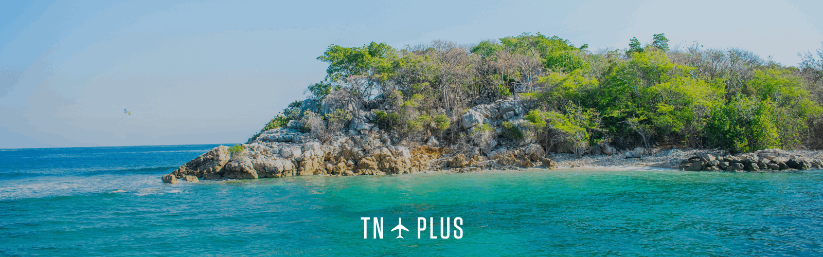 TN Plus_Haiti.gif