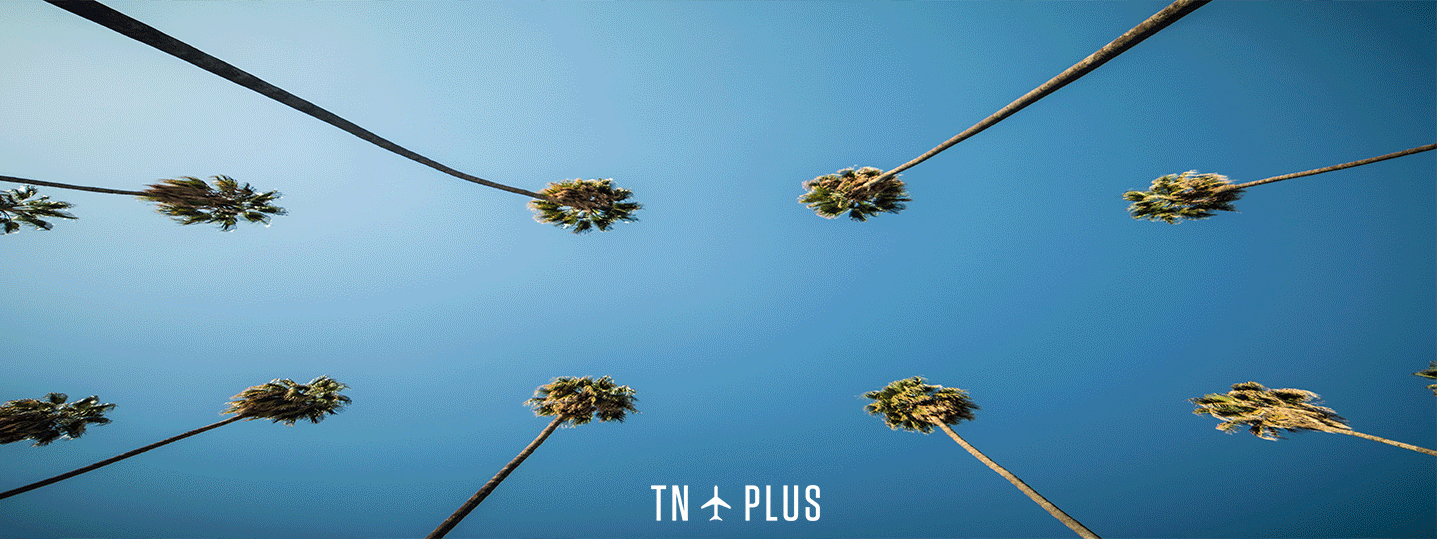 Header_LA-TNPLUS.gif