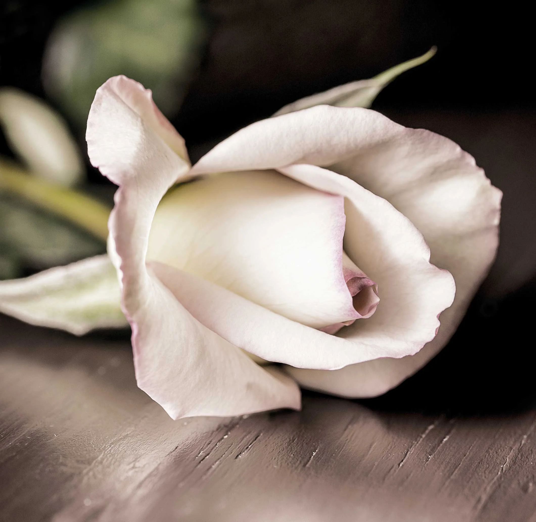 flower-trimmed.jpg