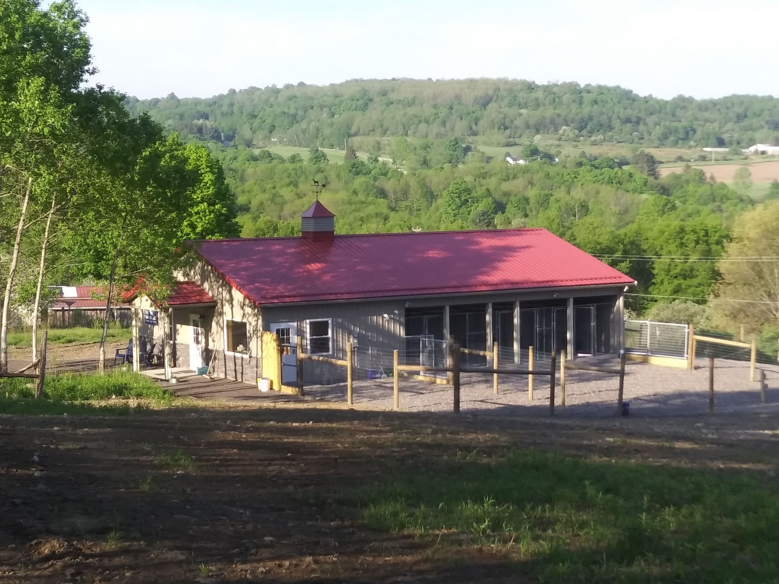 Dog Boarding Cortland & Ithaca, NY Top Dog Kennels LLC — TOP DOG KENNELS, LLC