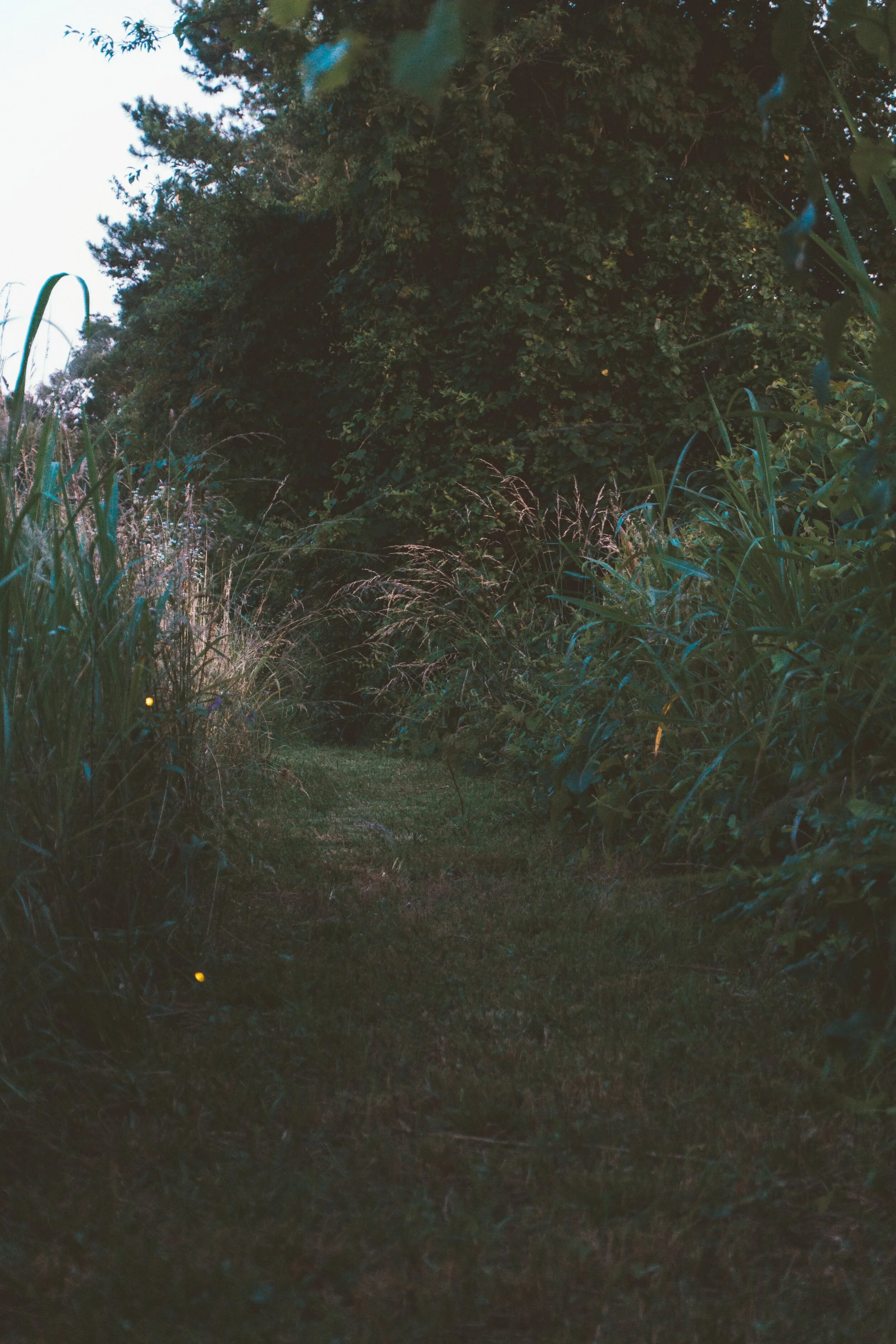 Falling Facades &amp; Firefly Faith