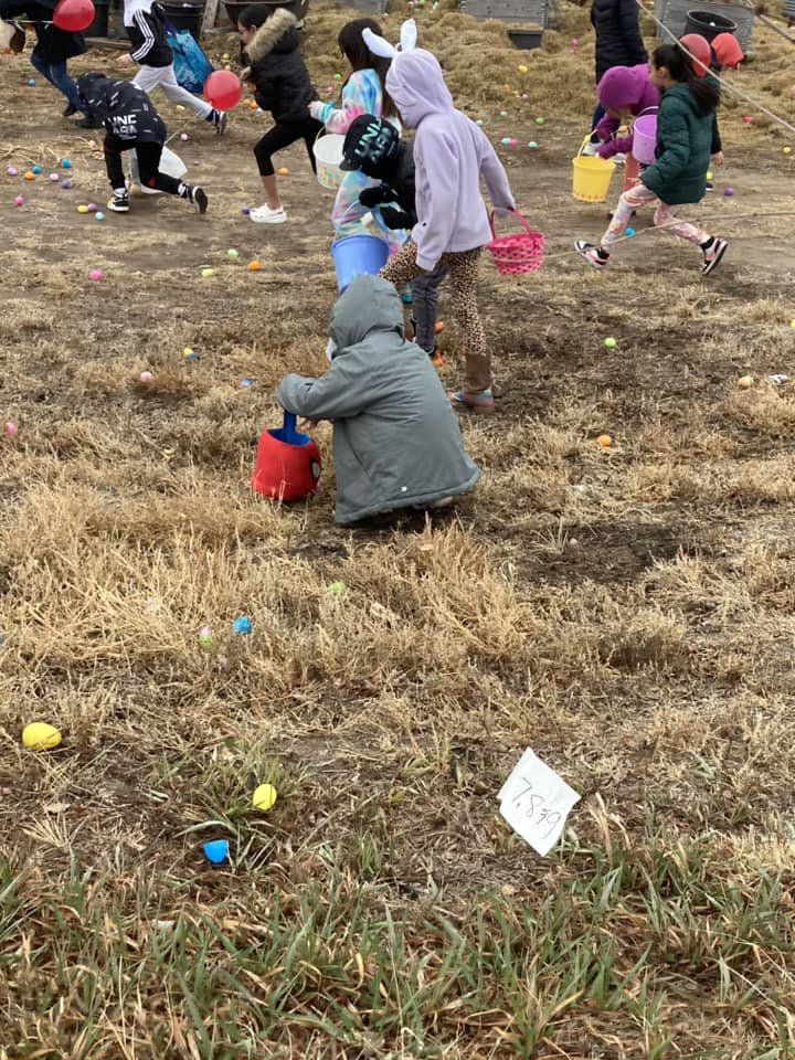 Egg Hunting