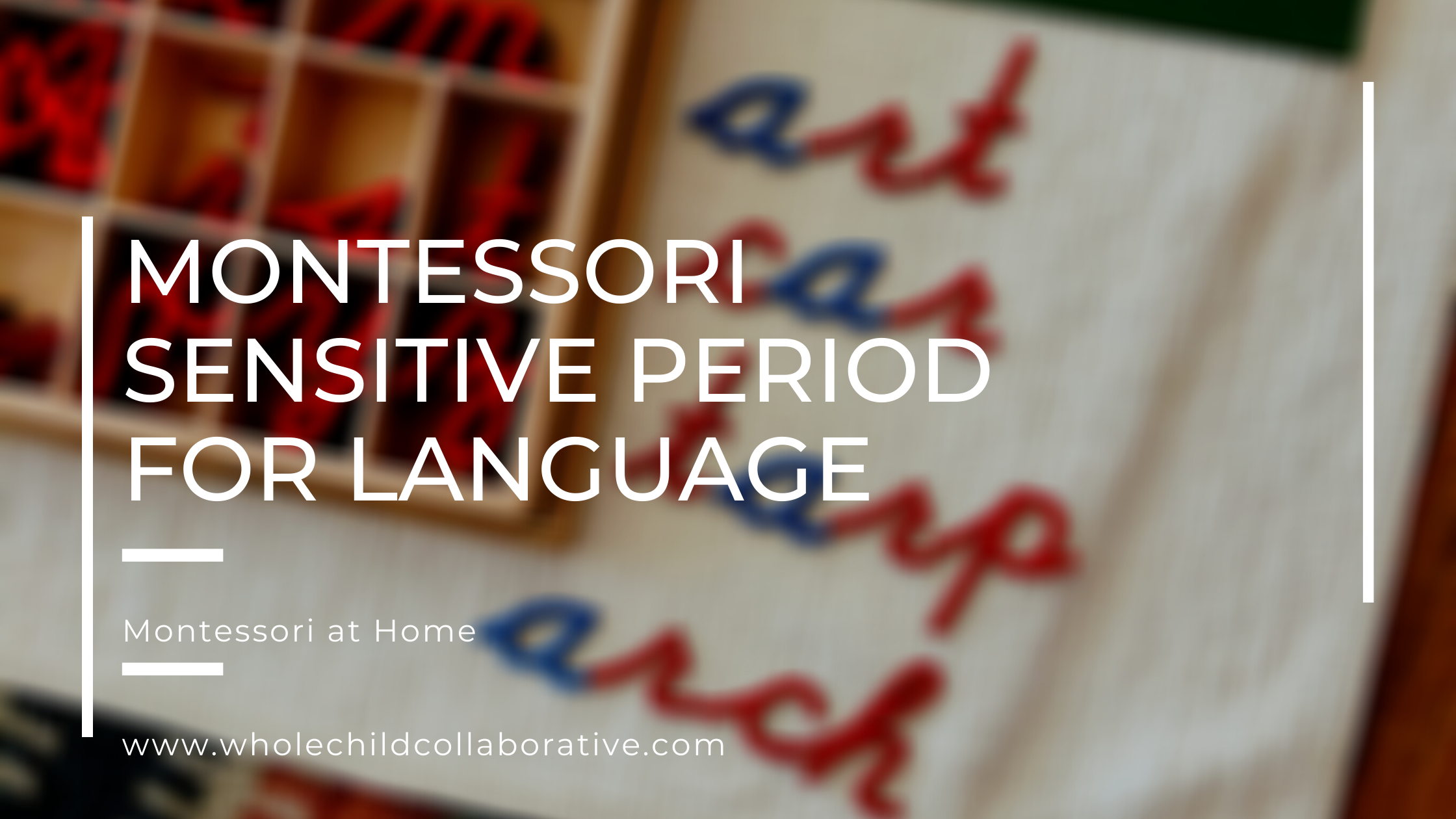 Sensitive Periods: Language 