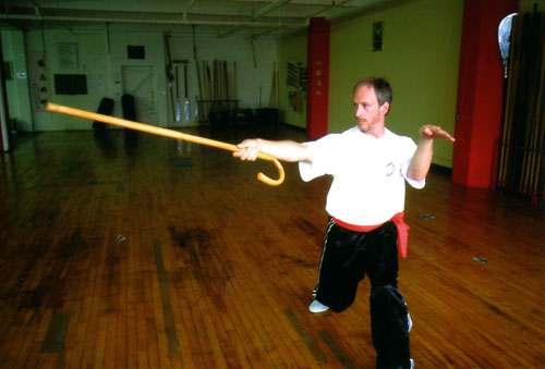 kung-fu-cane.jpg