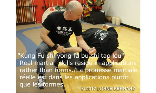 kung-fu-laval-applications-1.jpg