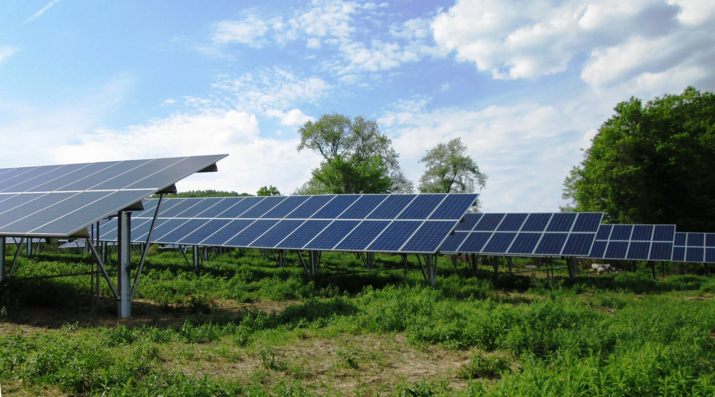 Energy Committee accepting proposals for community solar