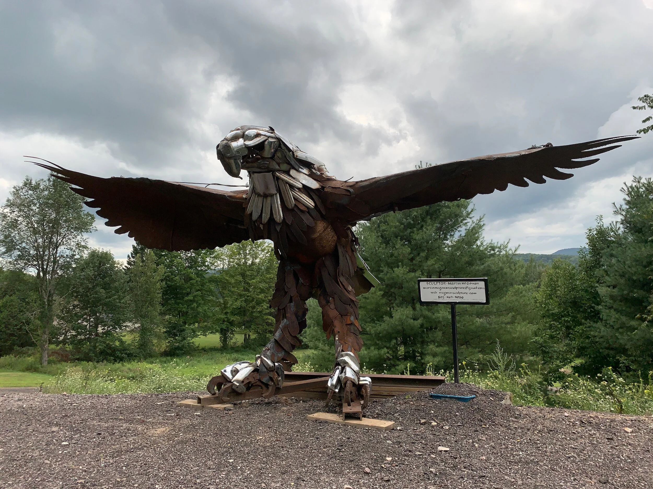 A shiny new eagle lands along Rt. 100