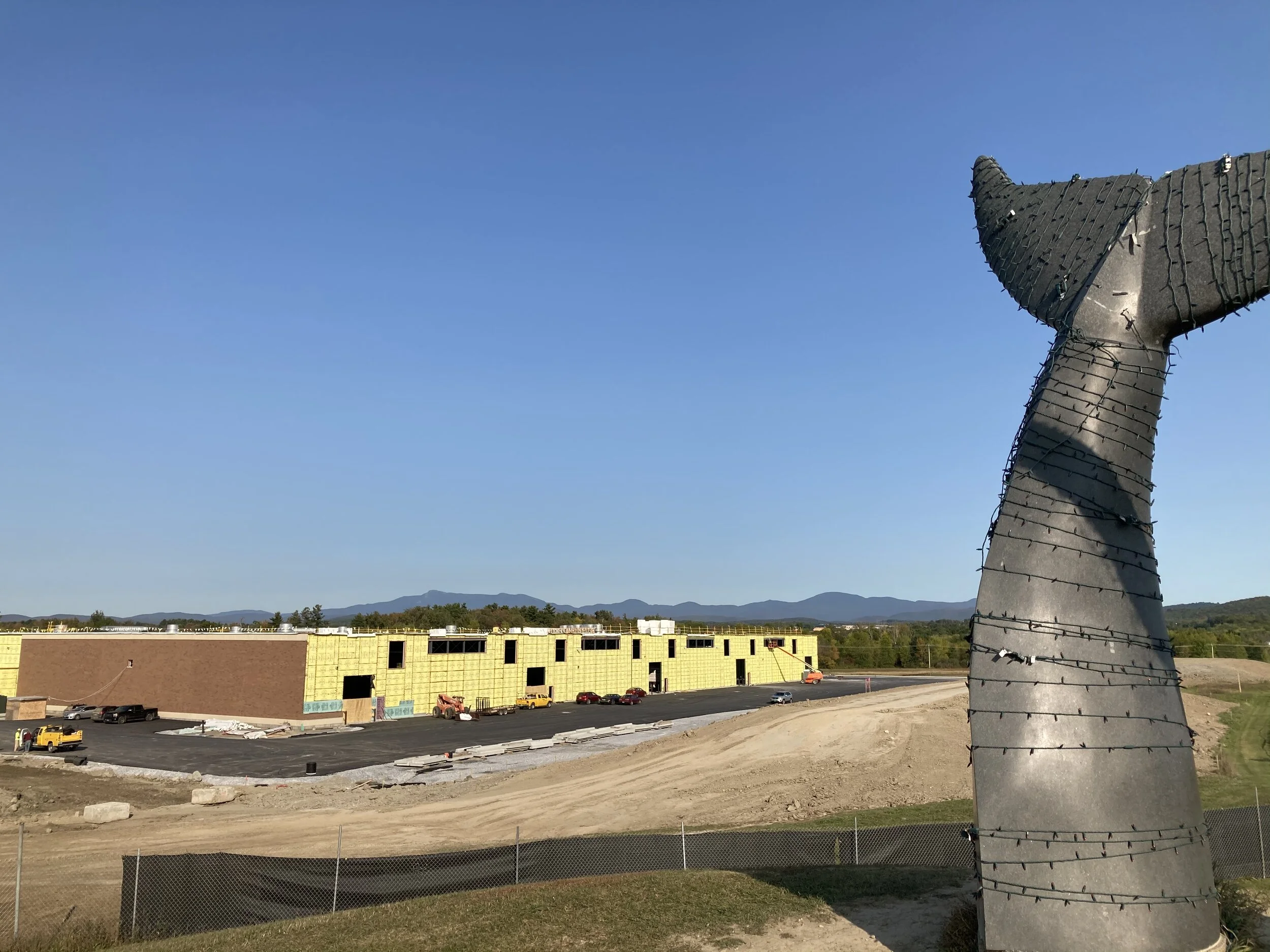 New FedEx warehouse to pave over unprotected wetlands, install gravel replacement